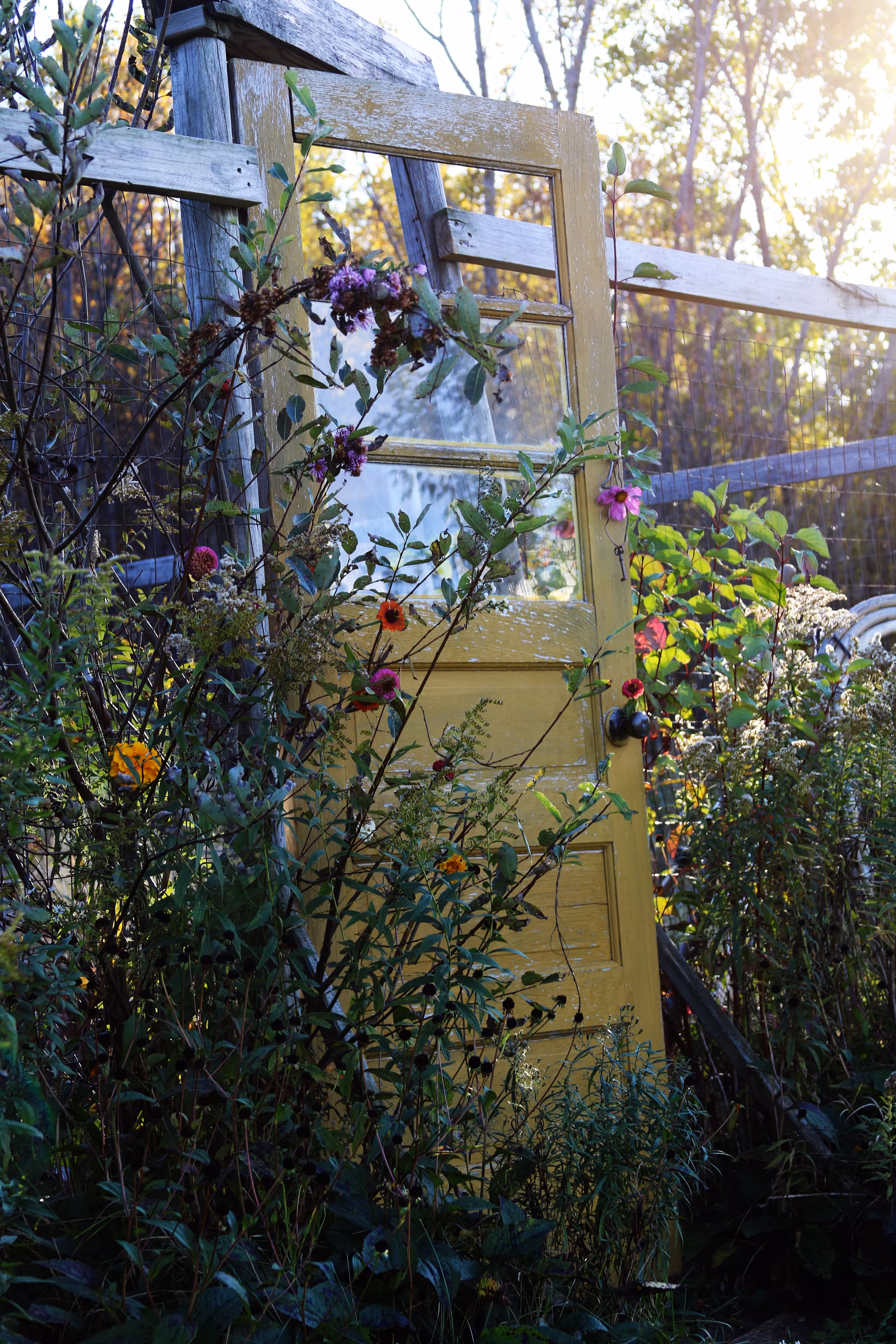 Secret Garden