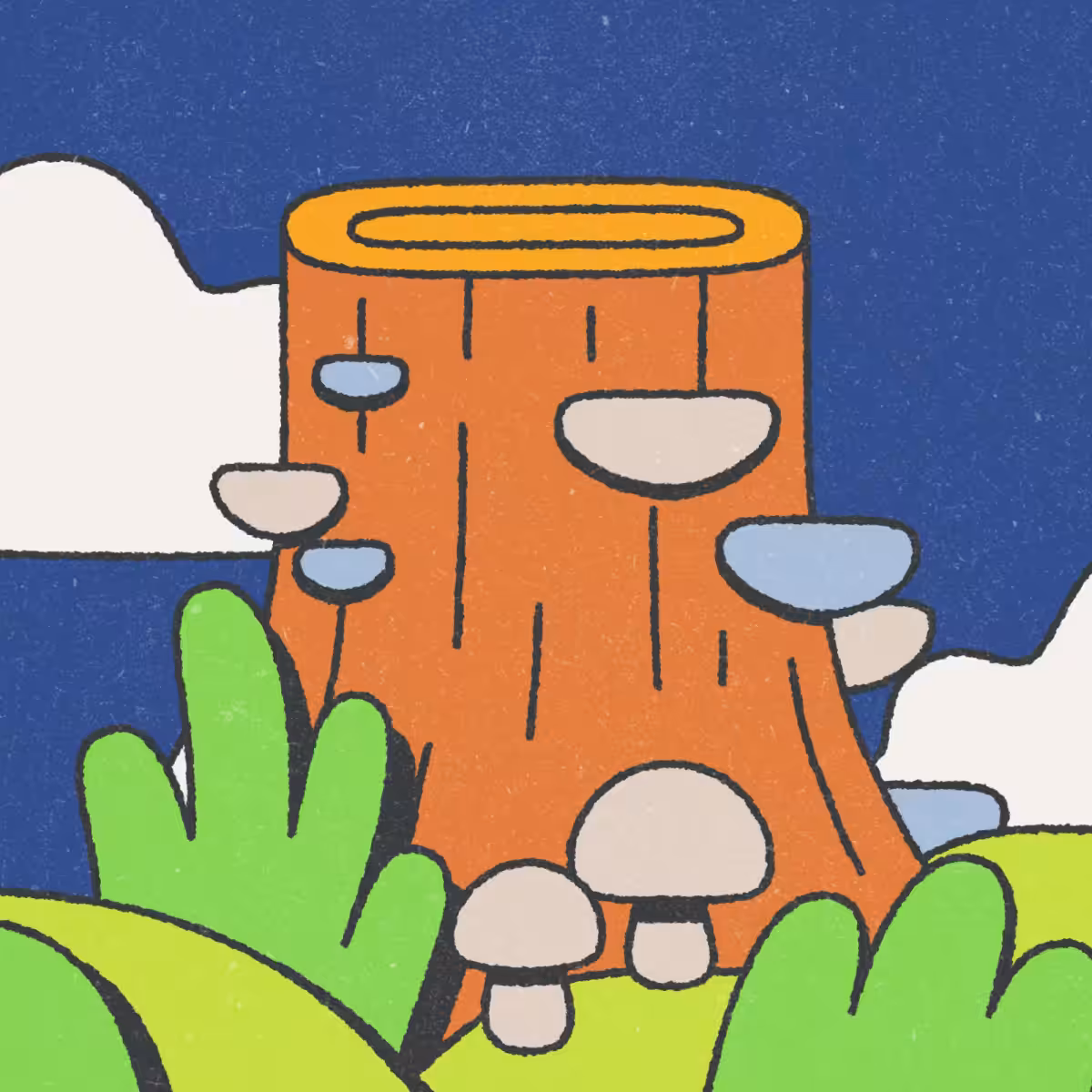 The Tiny Wizard