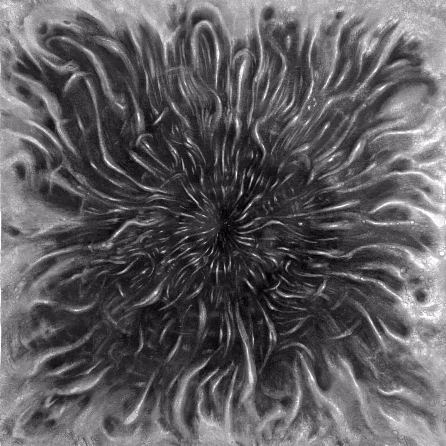 Xenorelics_DarkCenter_No03