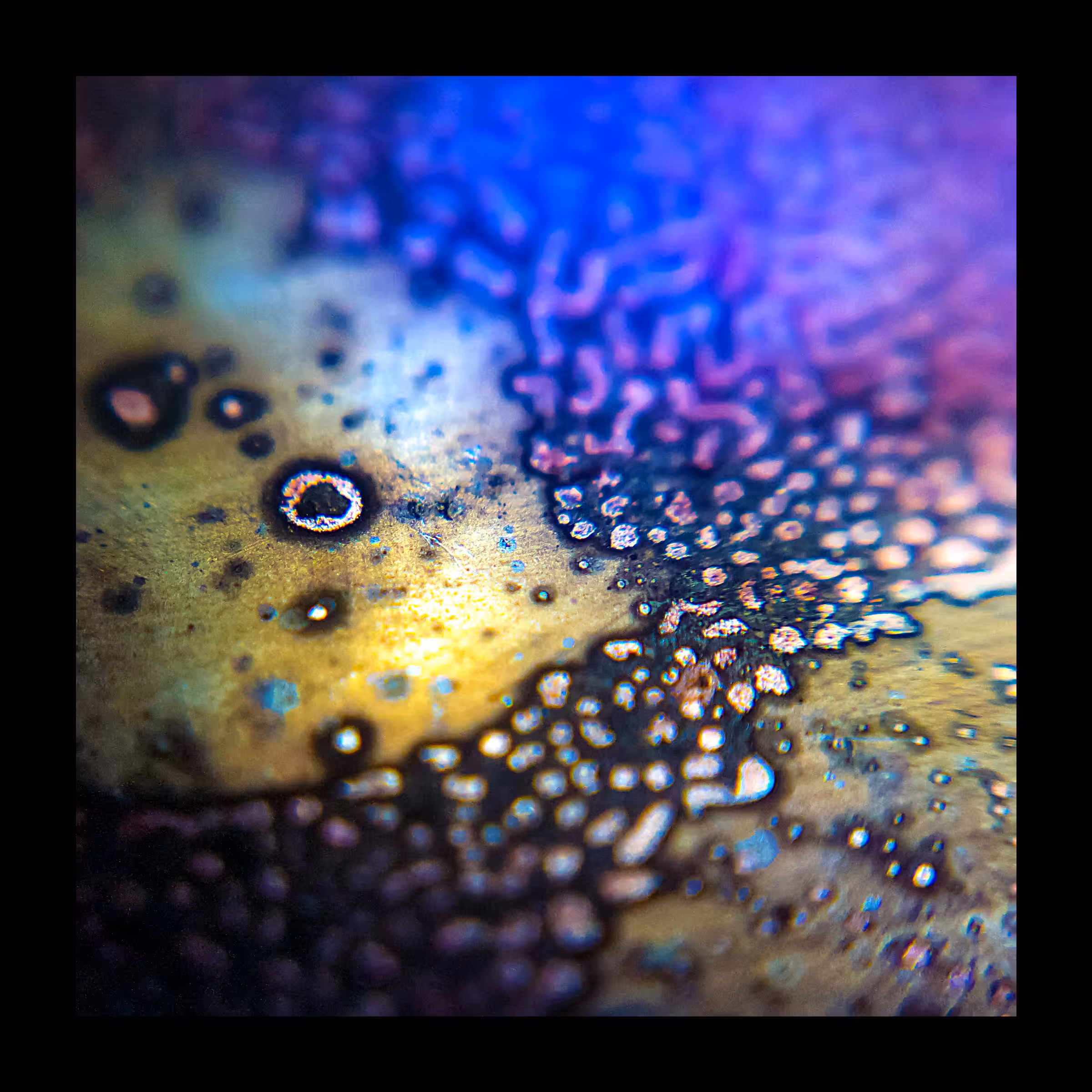 Flux #7