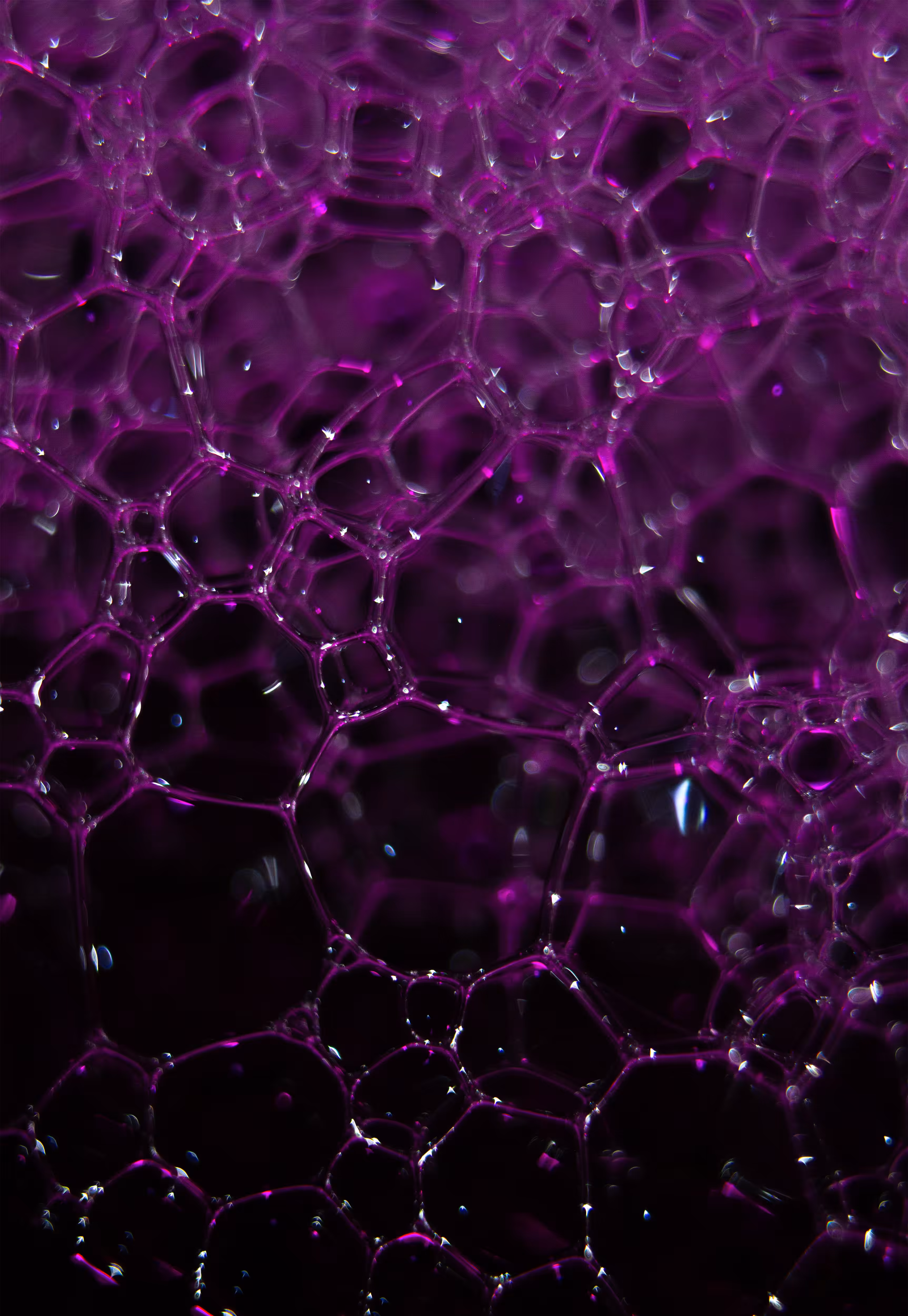 Abstract World of Soap Bubbles: #31 Bubbles
