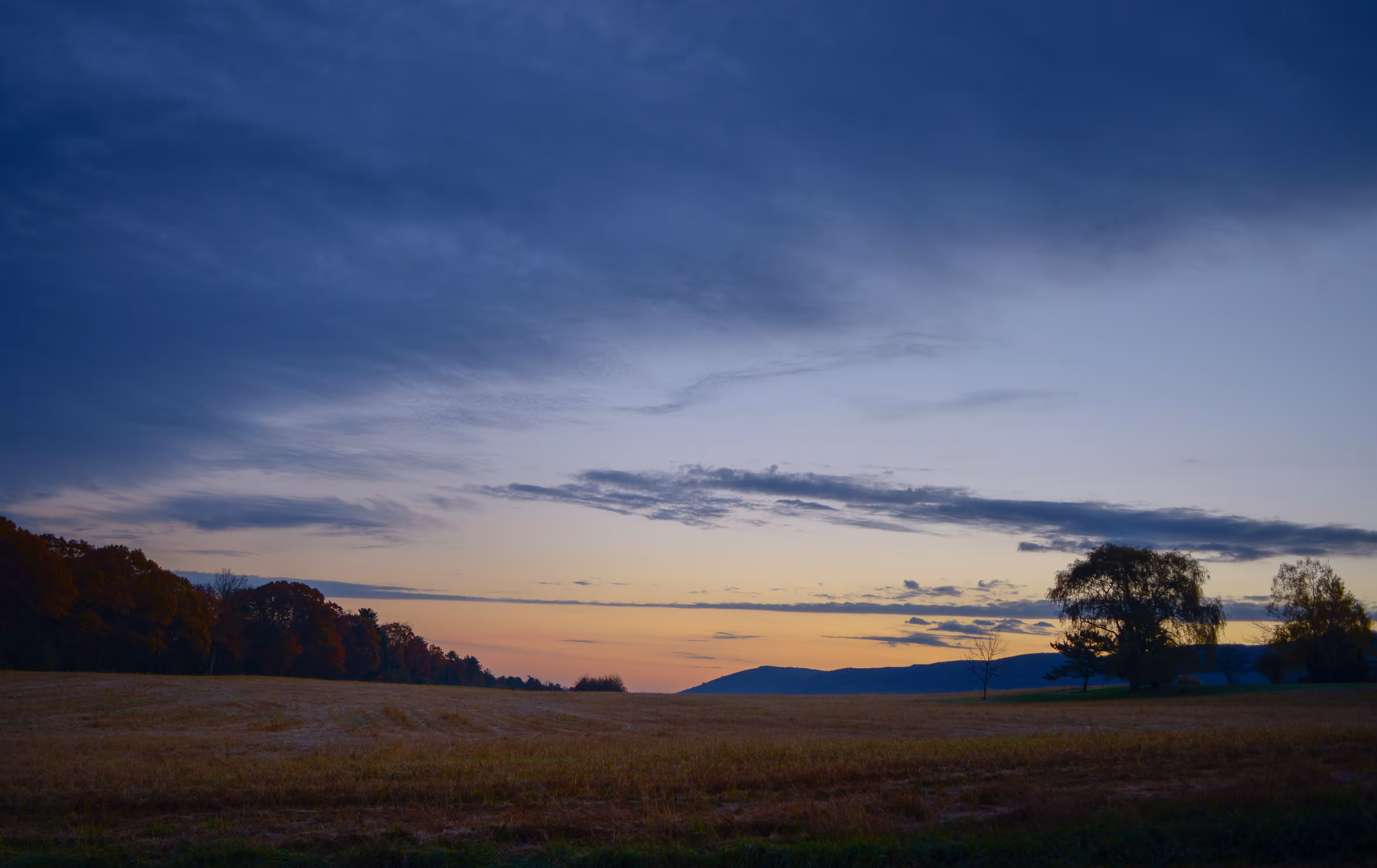 Autumn Twilight