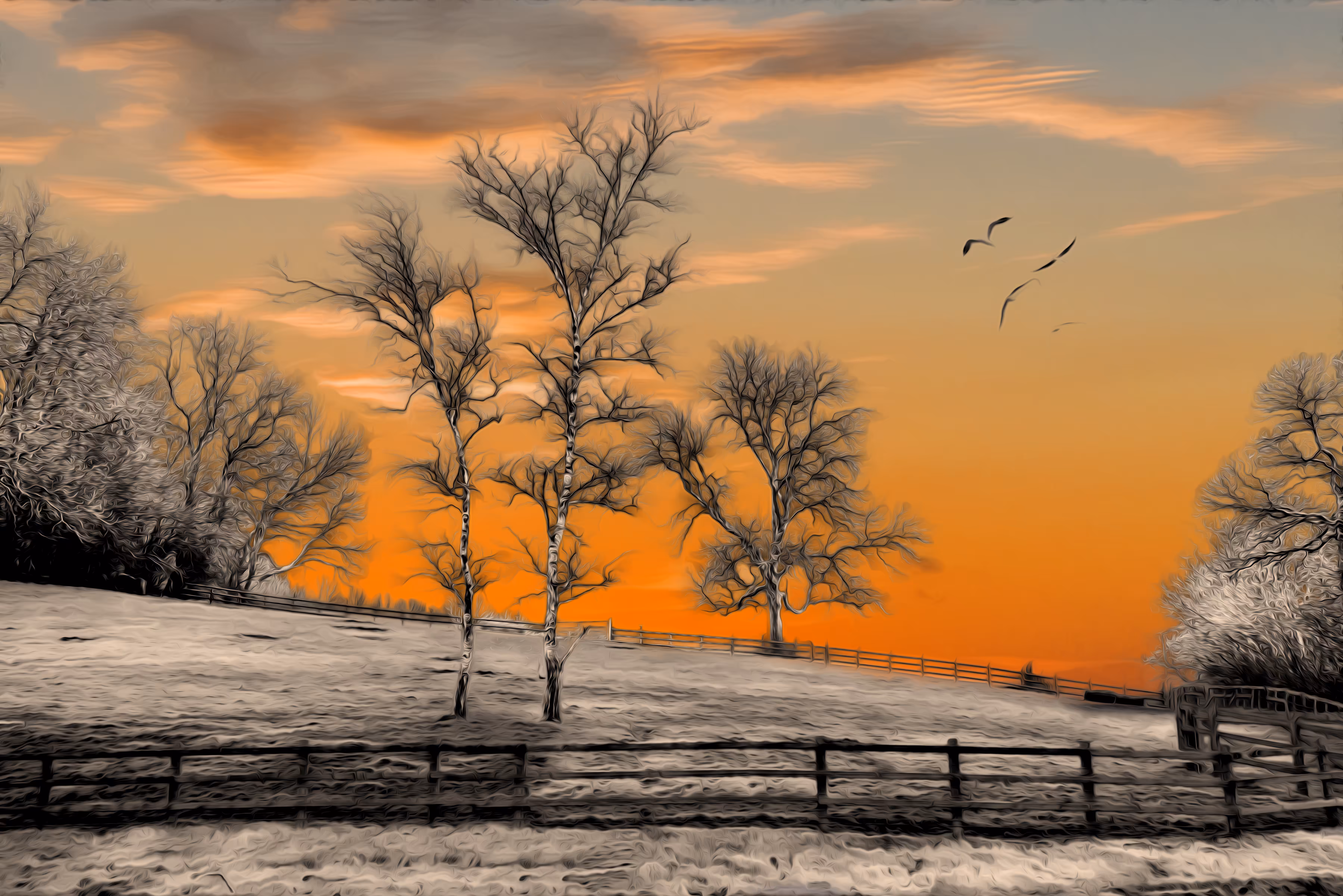 Tranquility Dawn