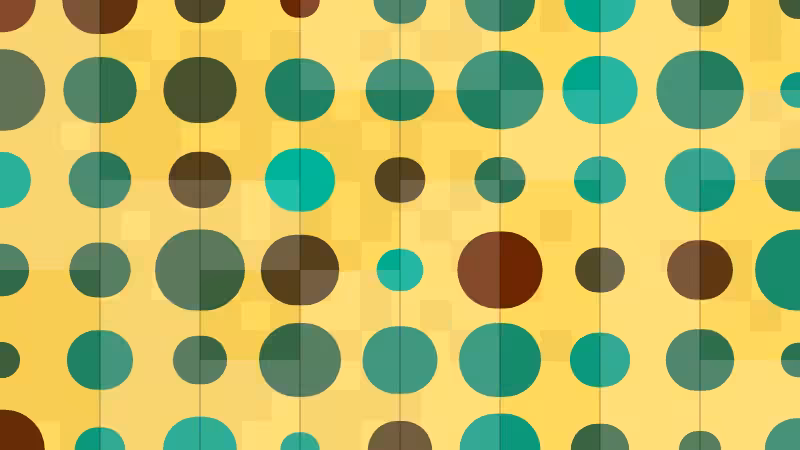 Polka #145