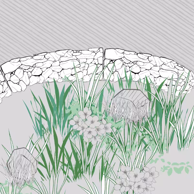 Wild Grass and Rubble #81