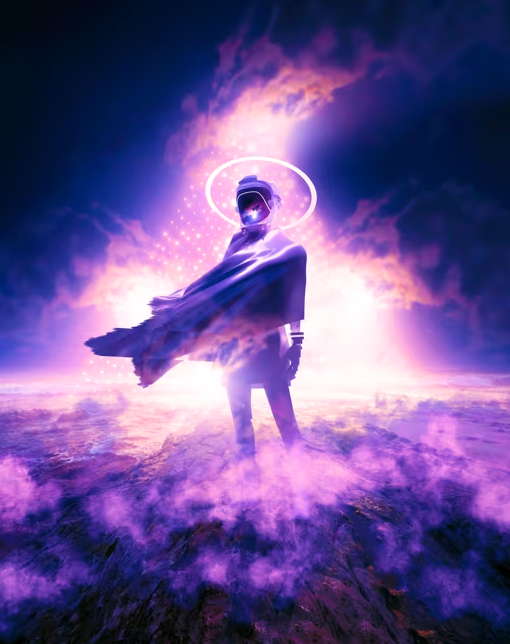 The Visitor