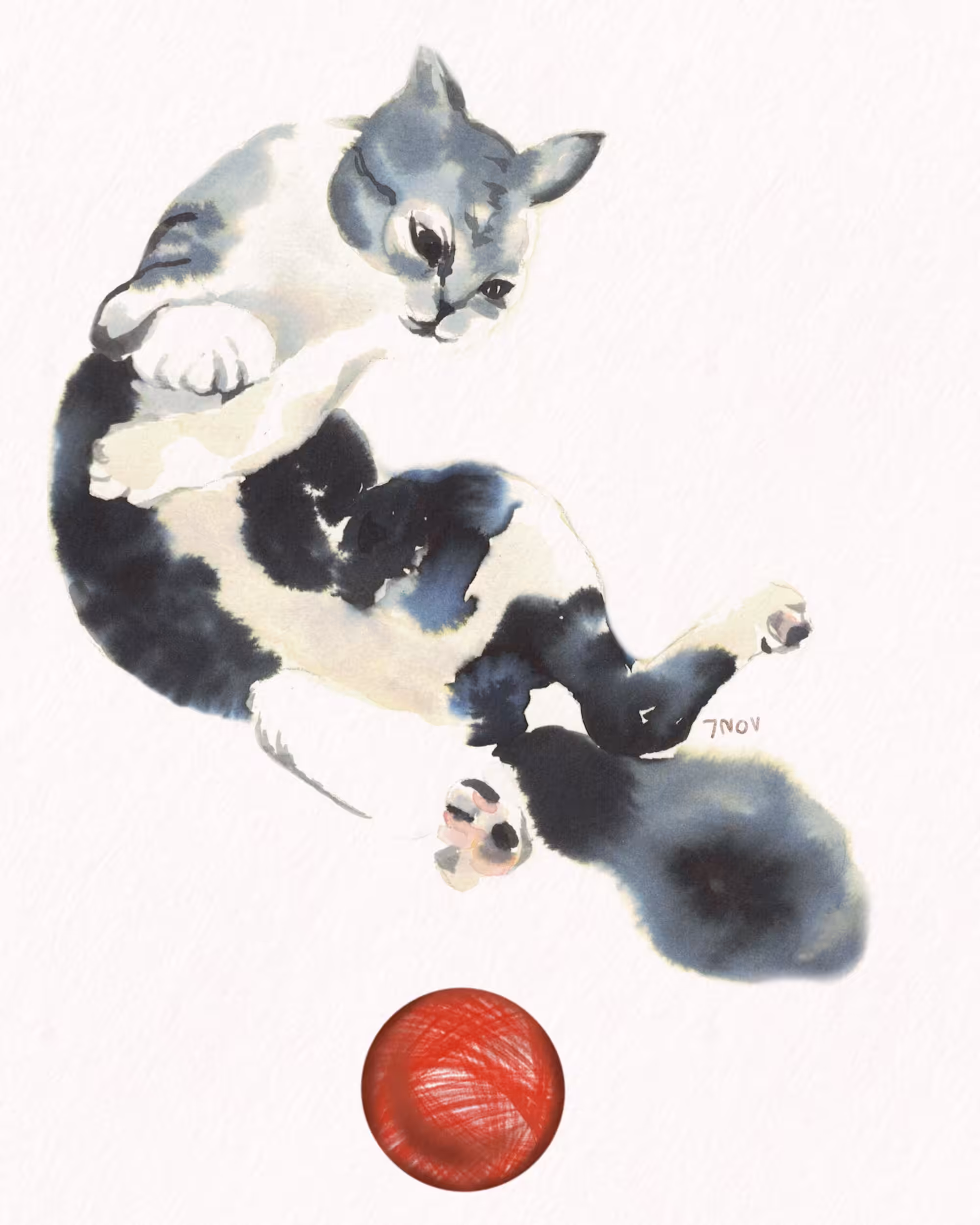 meaow#10