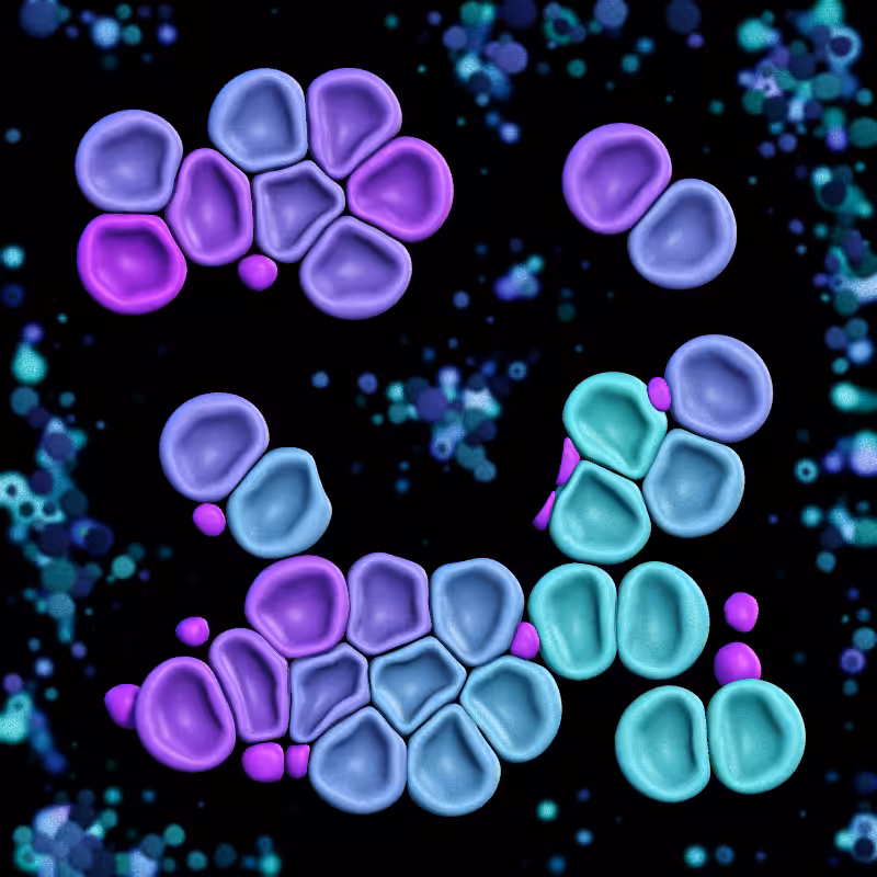 Haemo Globs #299