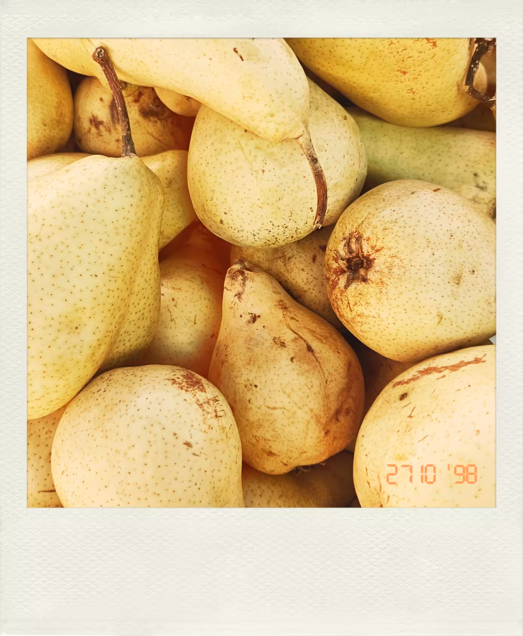 Pears