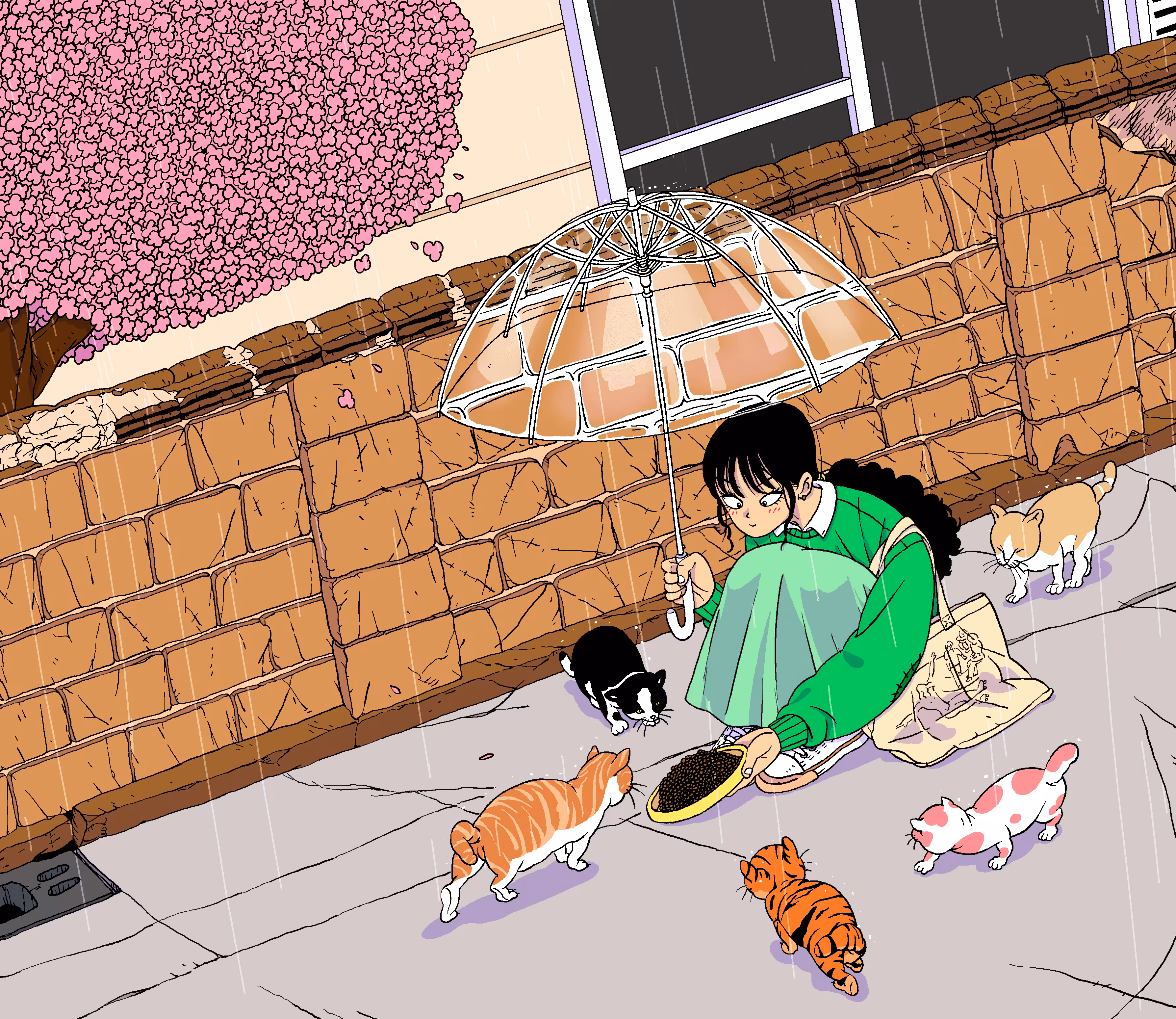 Cat and you