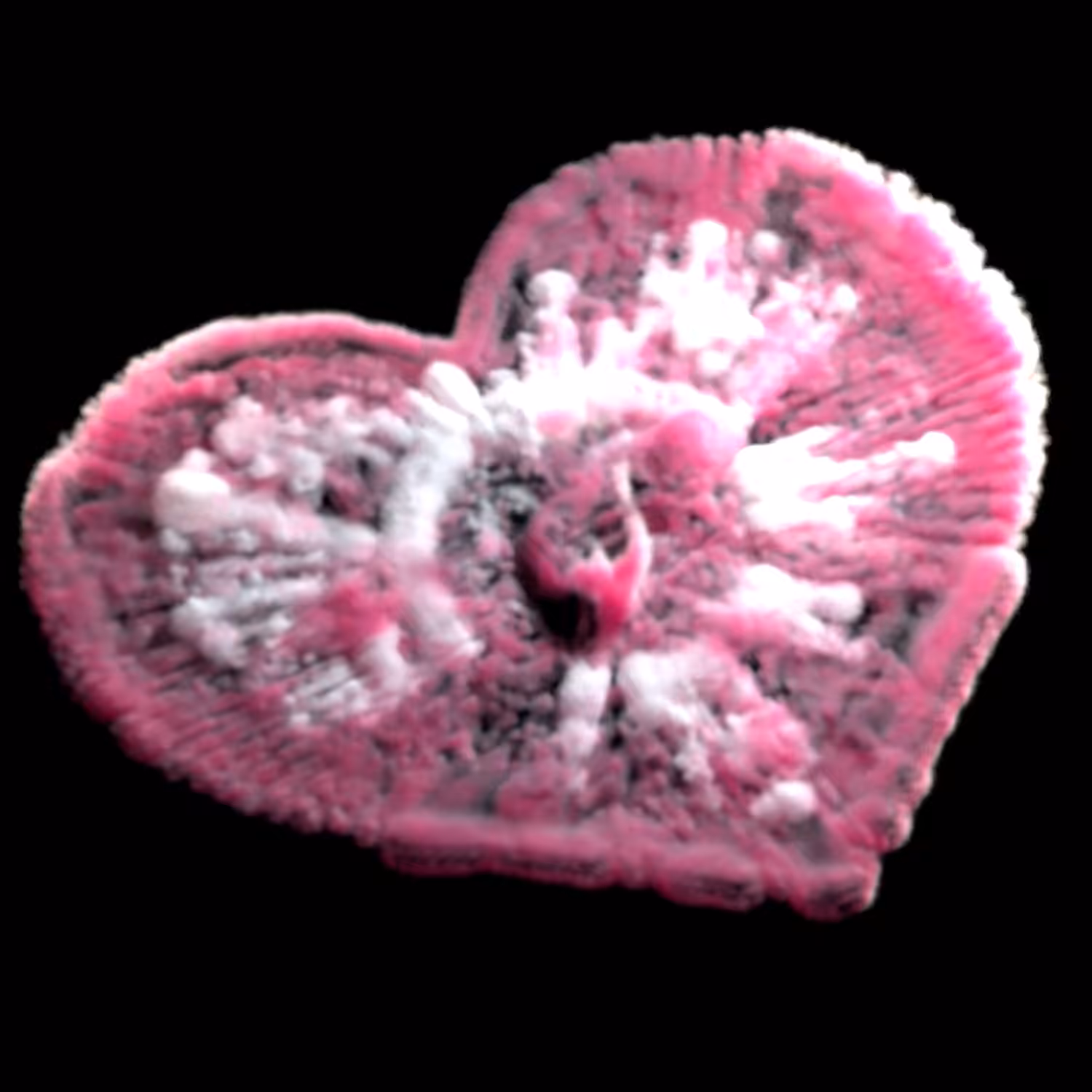 Fleeting Love