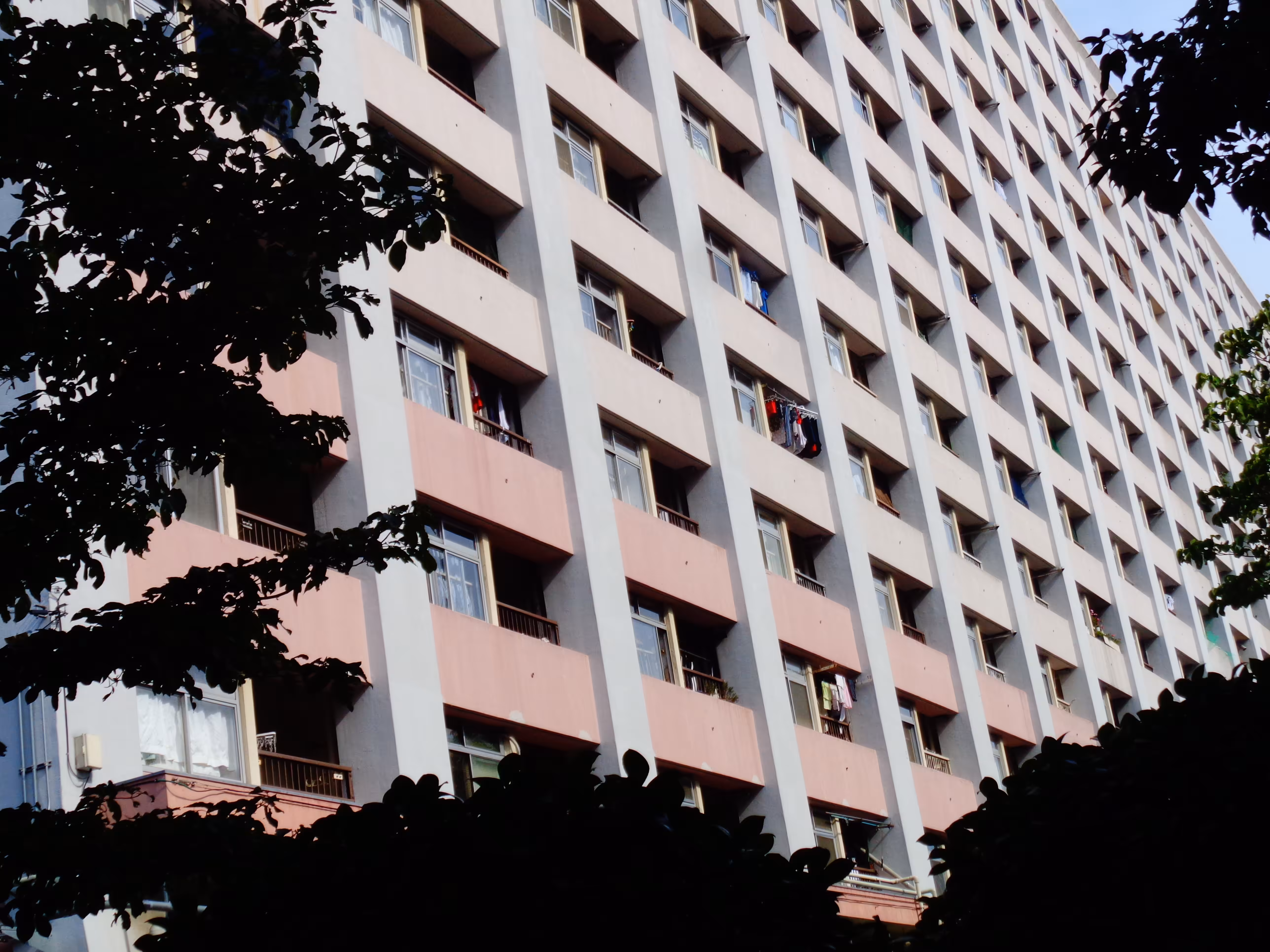 ojima 035