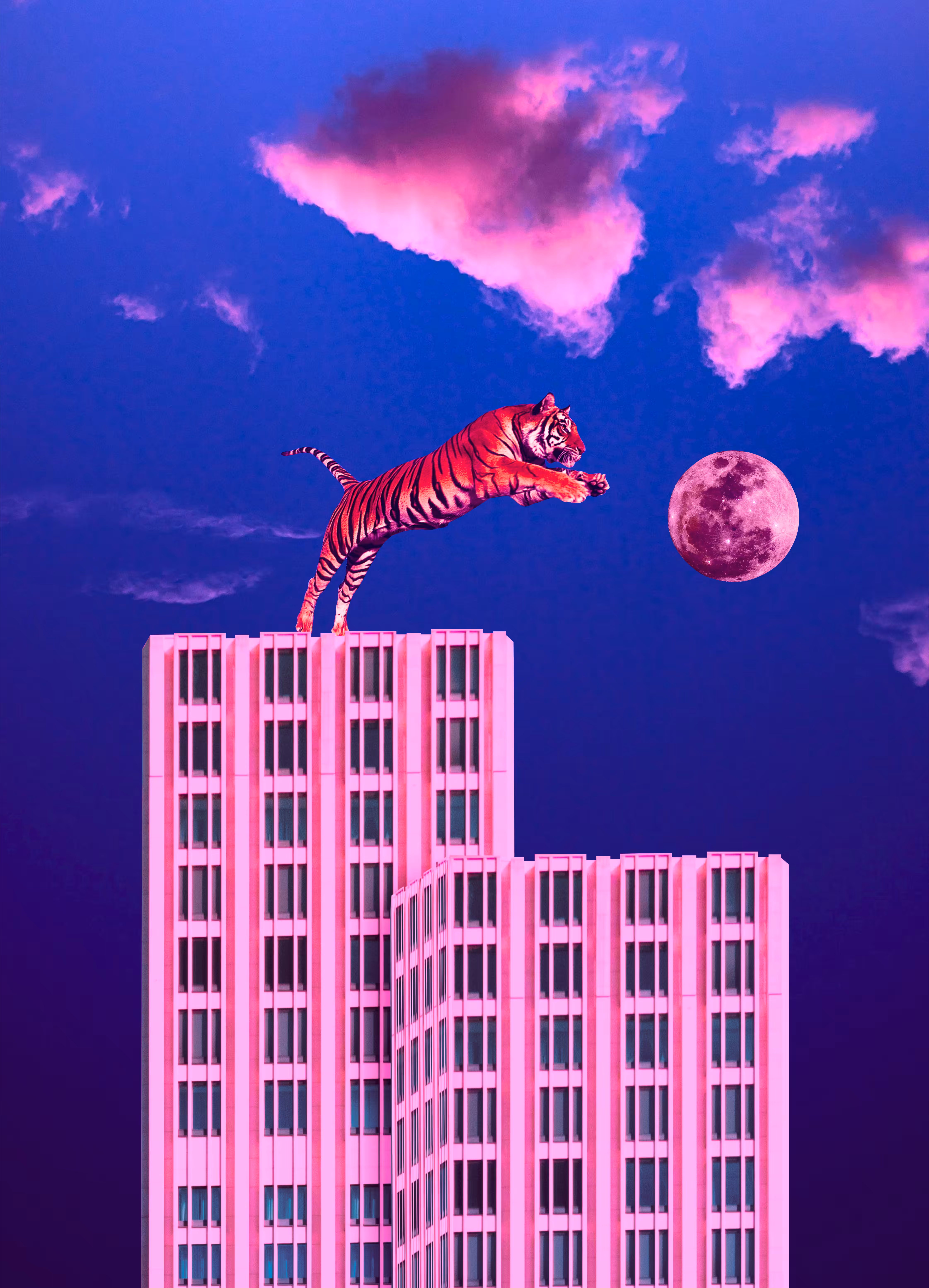 Urban Myth / Part 5