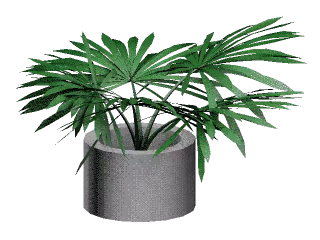 Waiting Room: Plant