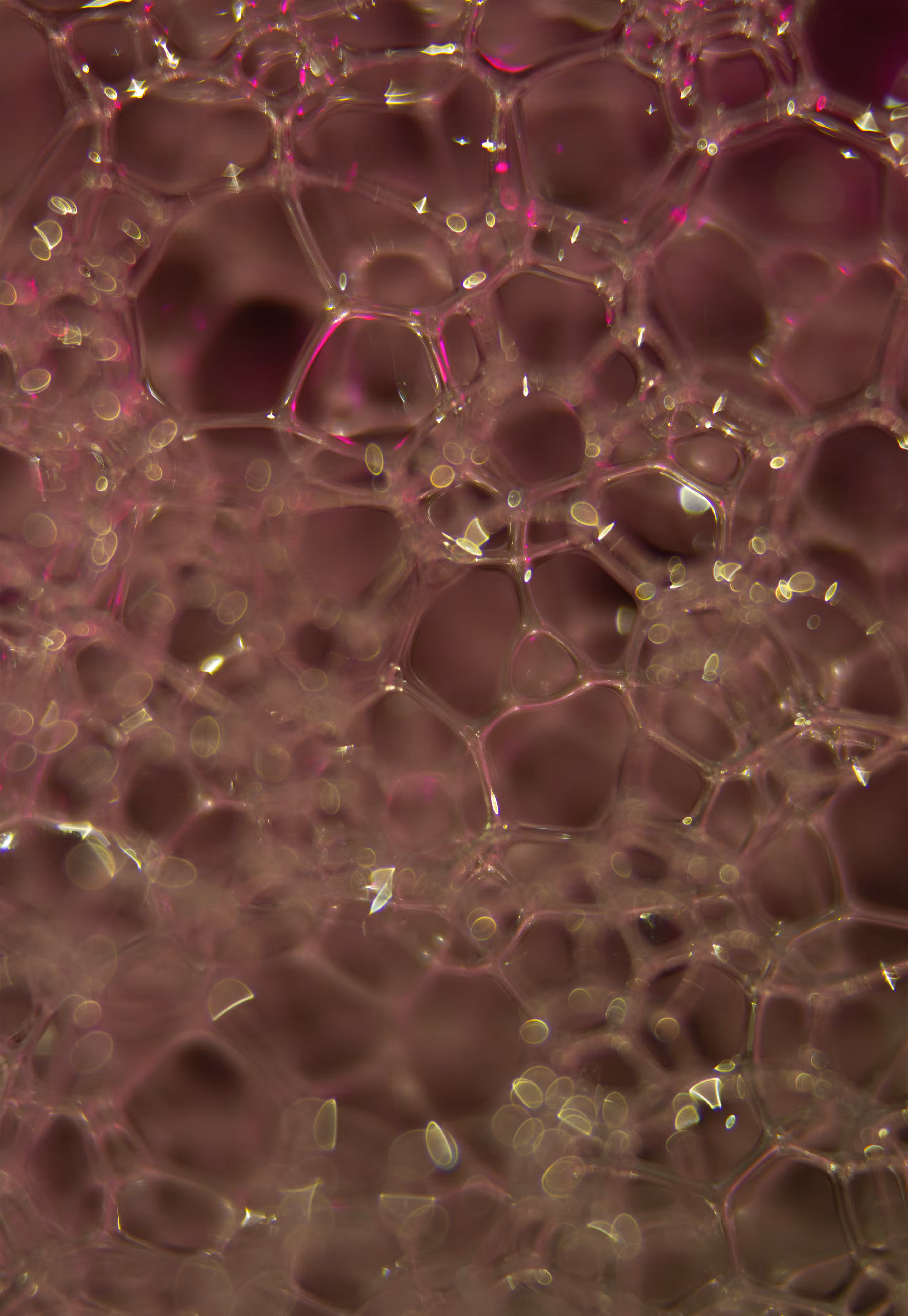 Abstract World of Soap Bubbles: #125 Bubbles