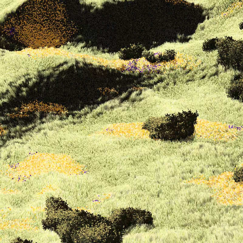 California Hills in Late Sun #10