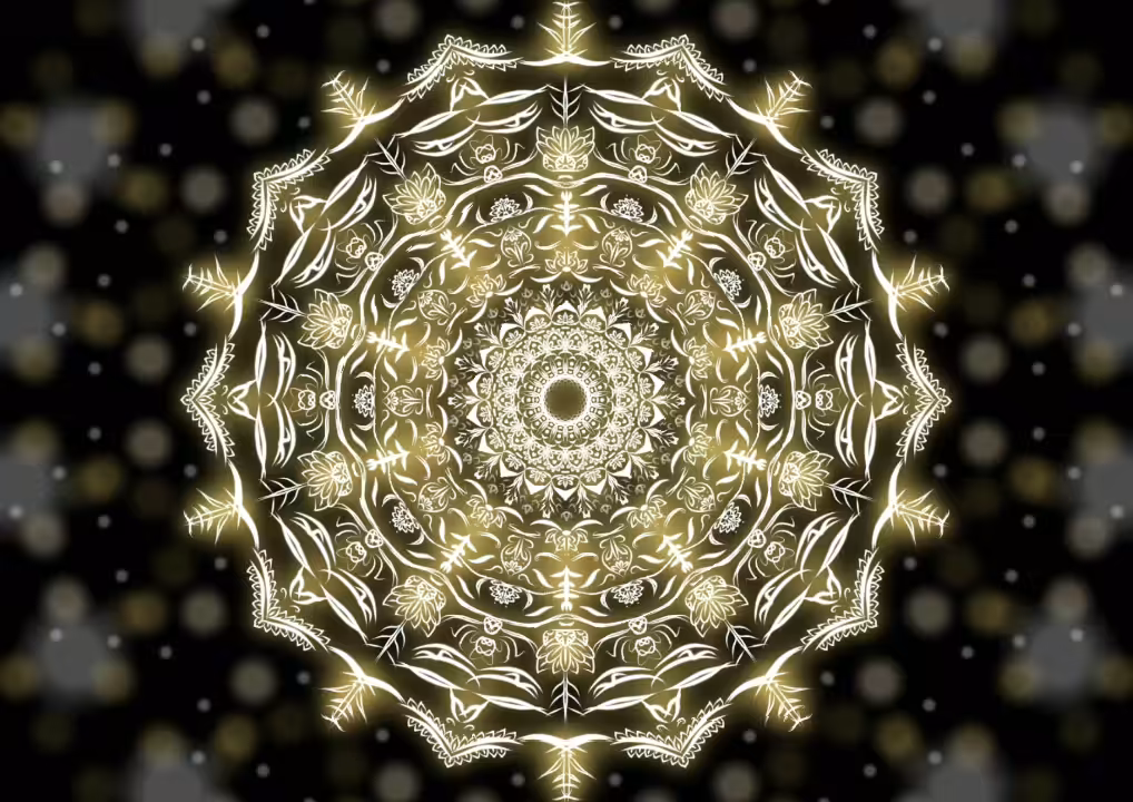 XXIX