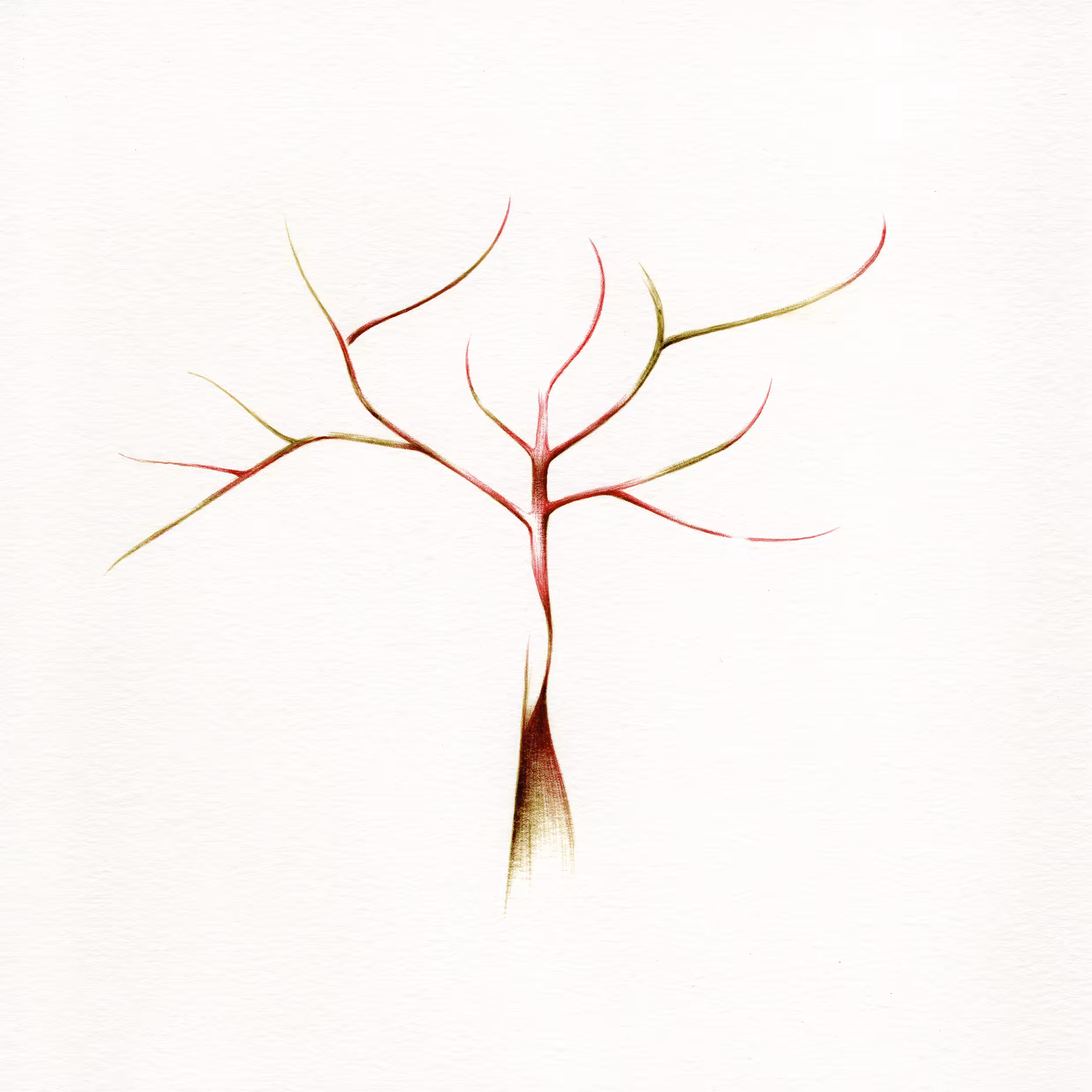 imaginary trees: imaginary tree #6