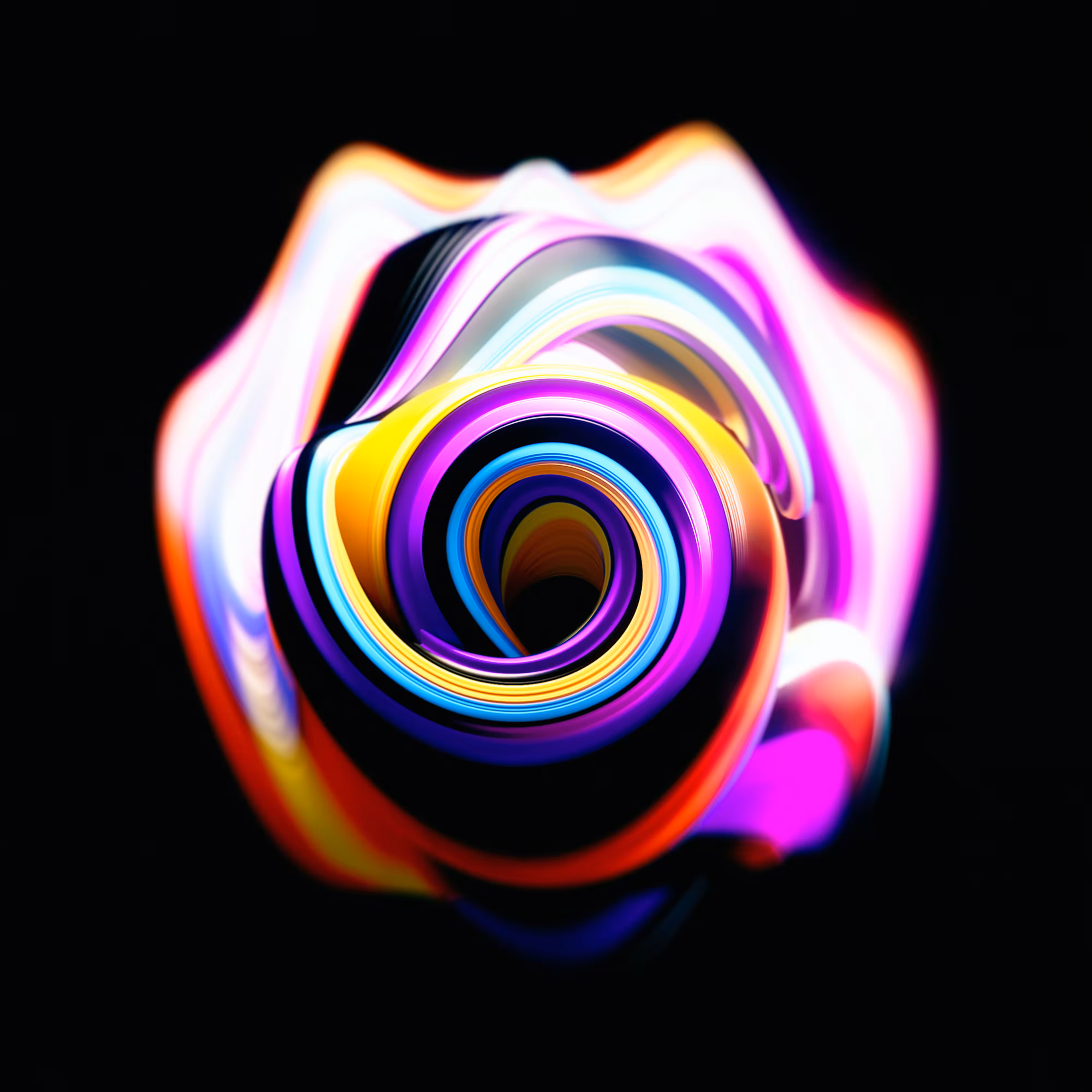 Colorful Rose