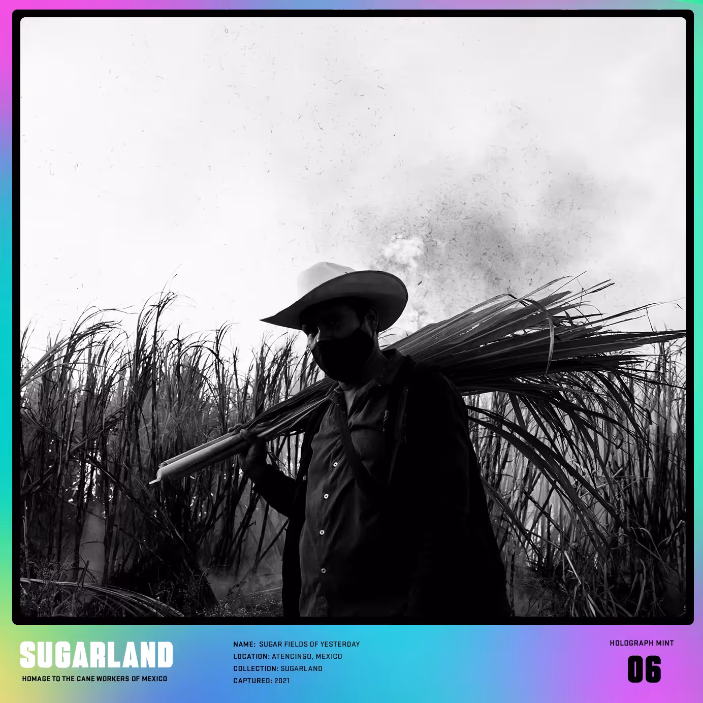 SUGARLAND #6 SUGAR FIELDS OF YESTERDAY