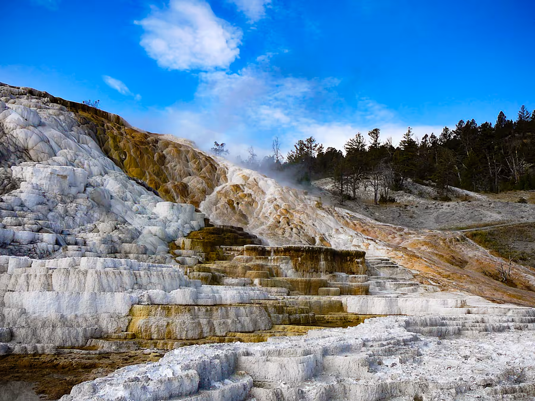 Formations #16