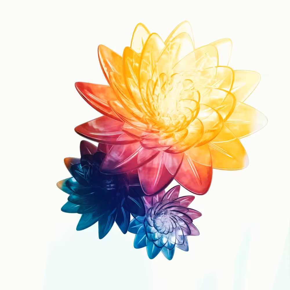 Bloom