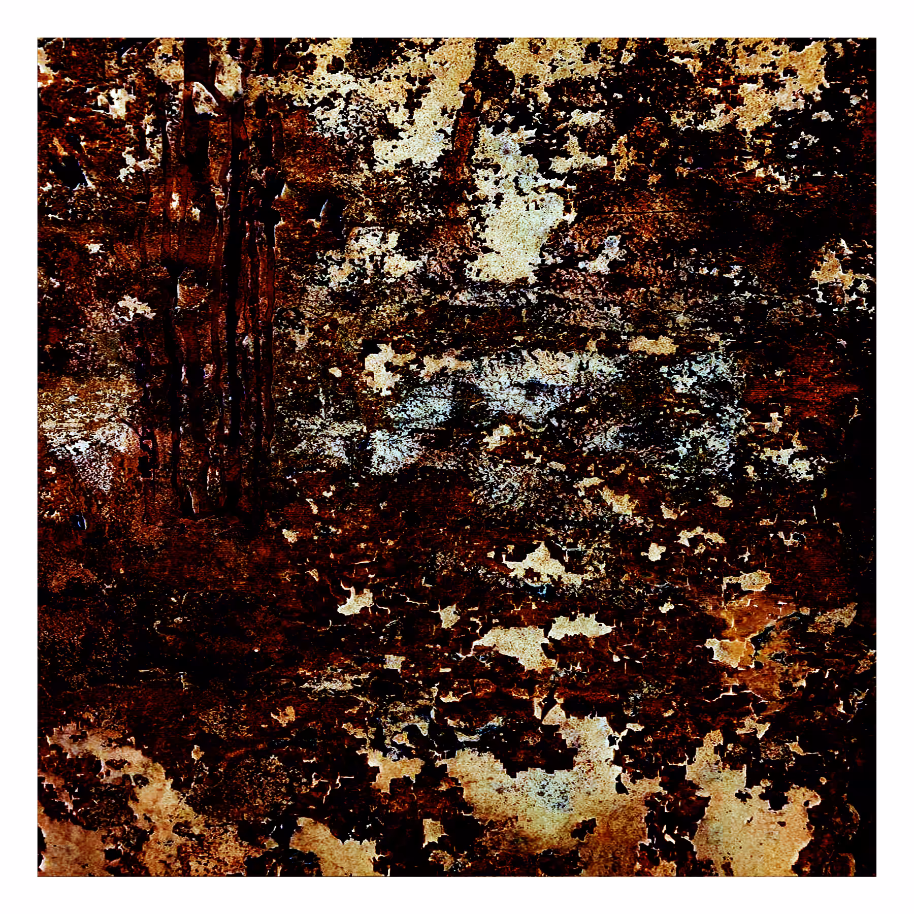 DECAY 05