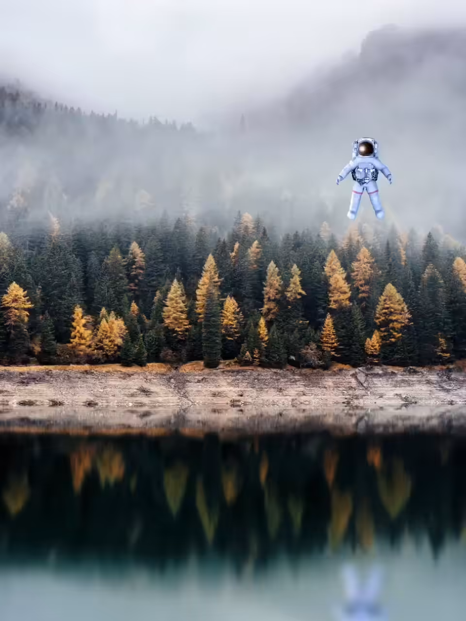 Alternate Reality I