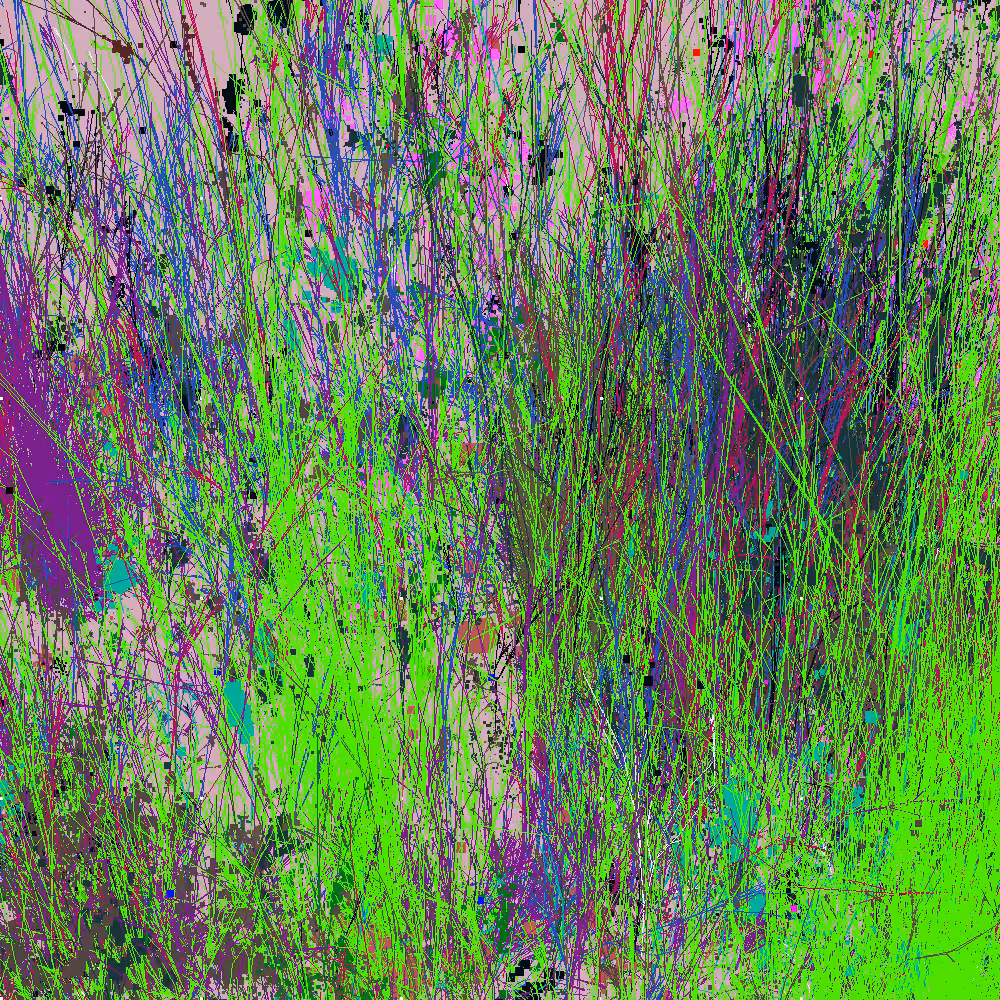 Infinite Garden: 63818 Flowers