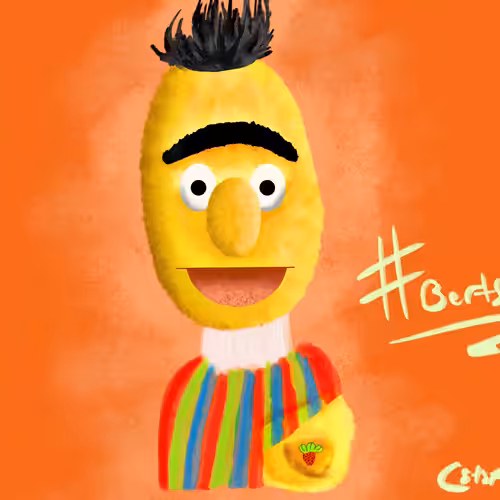 Bert's Tit - CSTSP