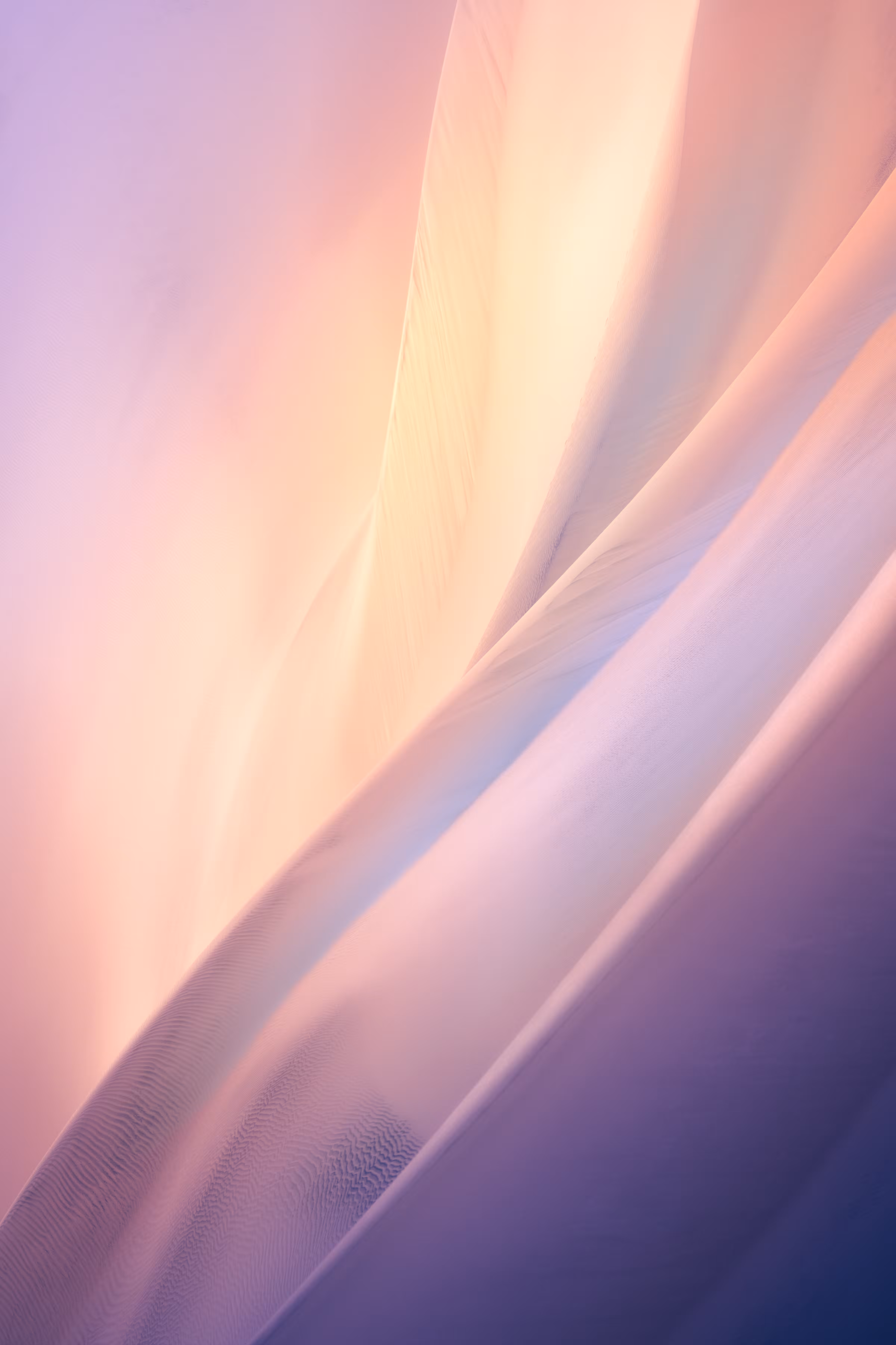 Bloom