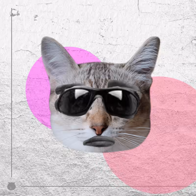 Kittenstein #7