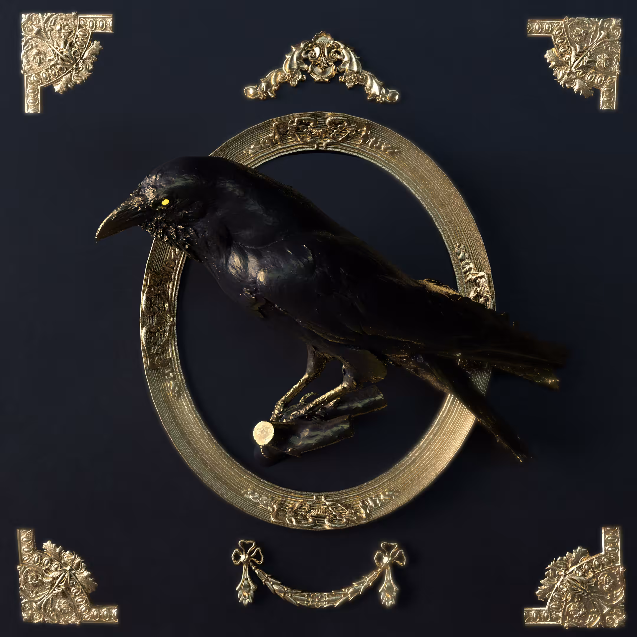 Wild Exhibition - Crow