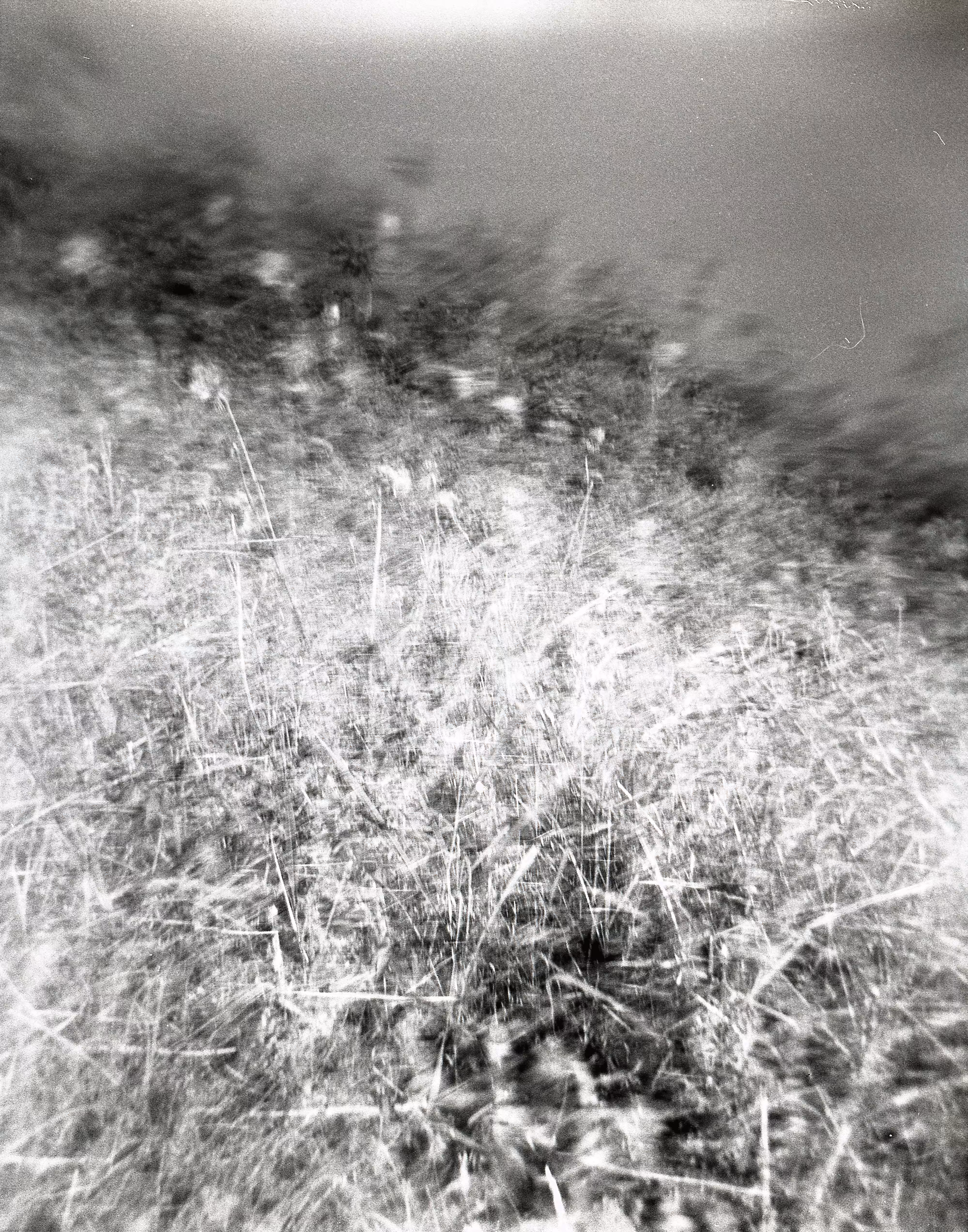 Shot on Holga: Collector Rewards