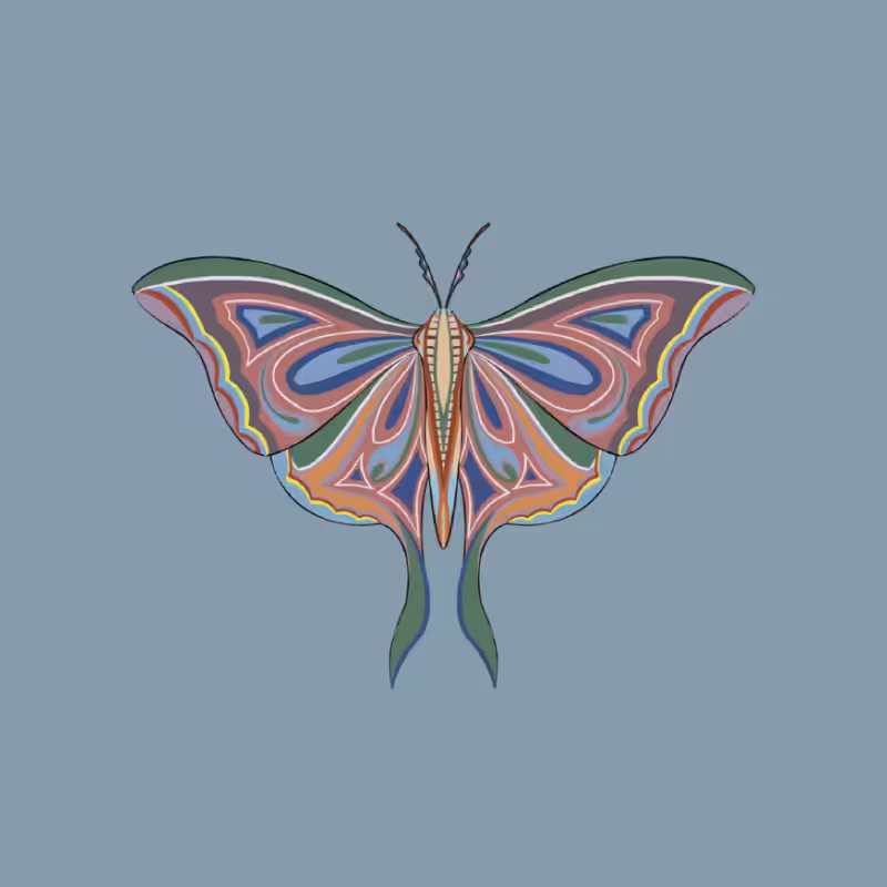 The Moth Experiment 2.0 P1 #23