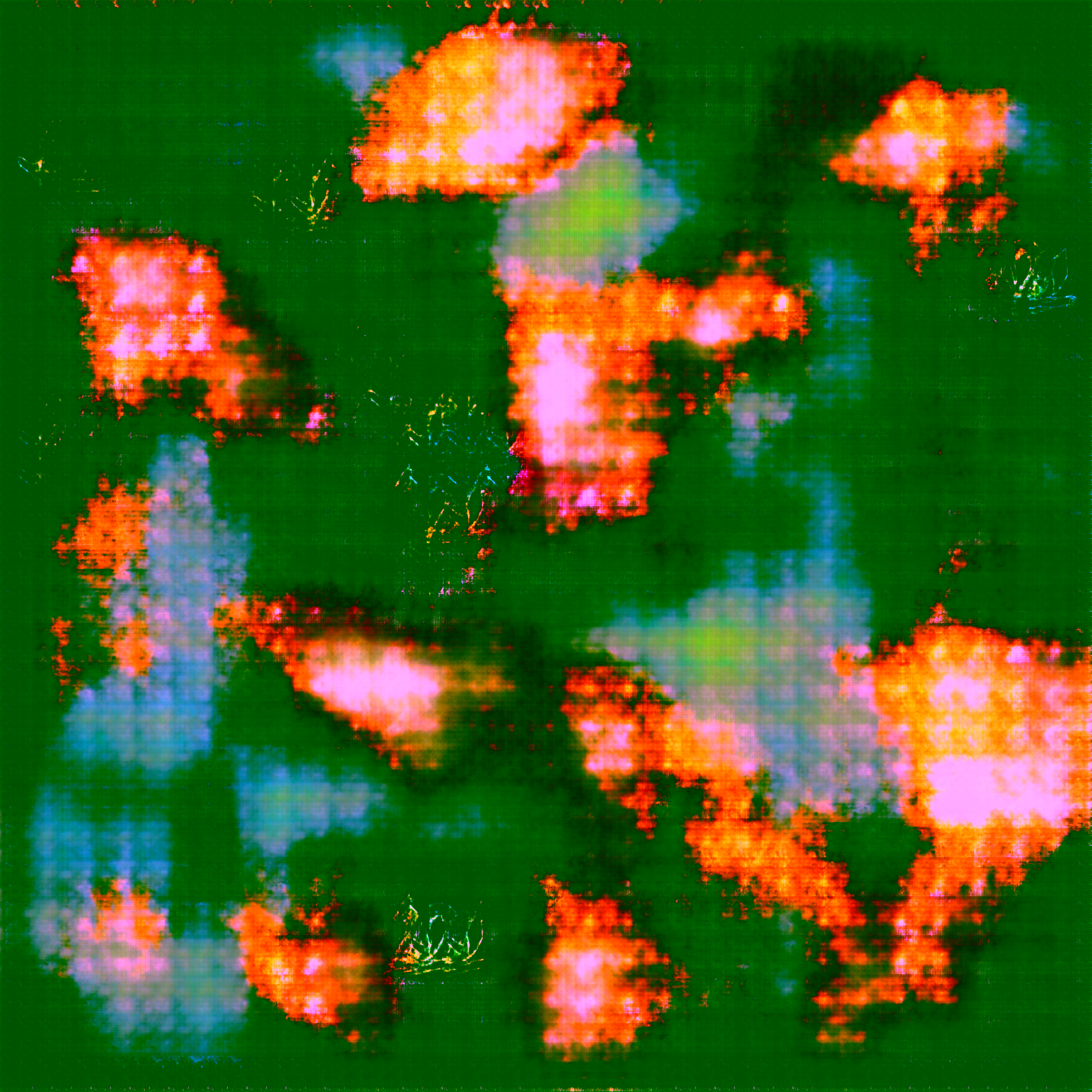 Whispers of the Phoenix