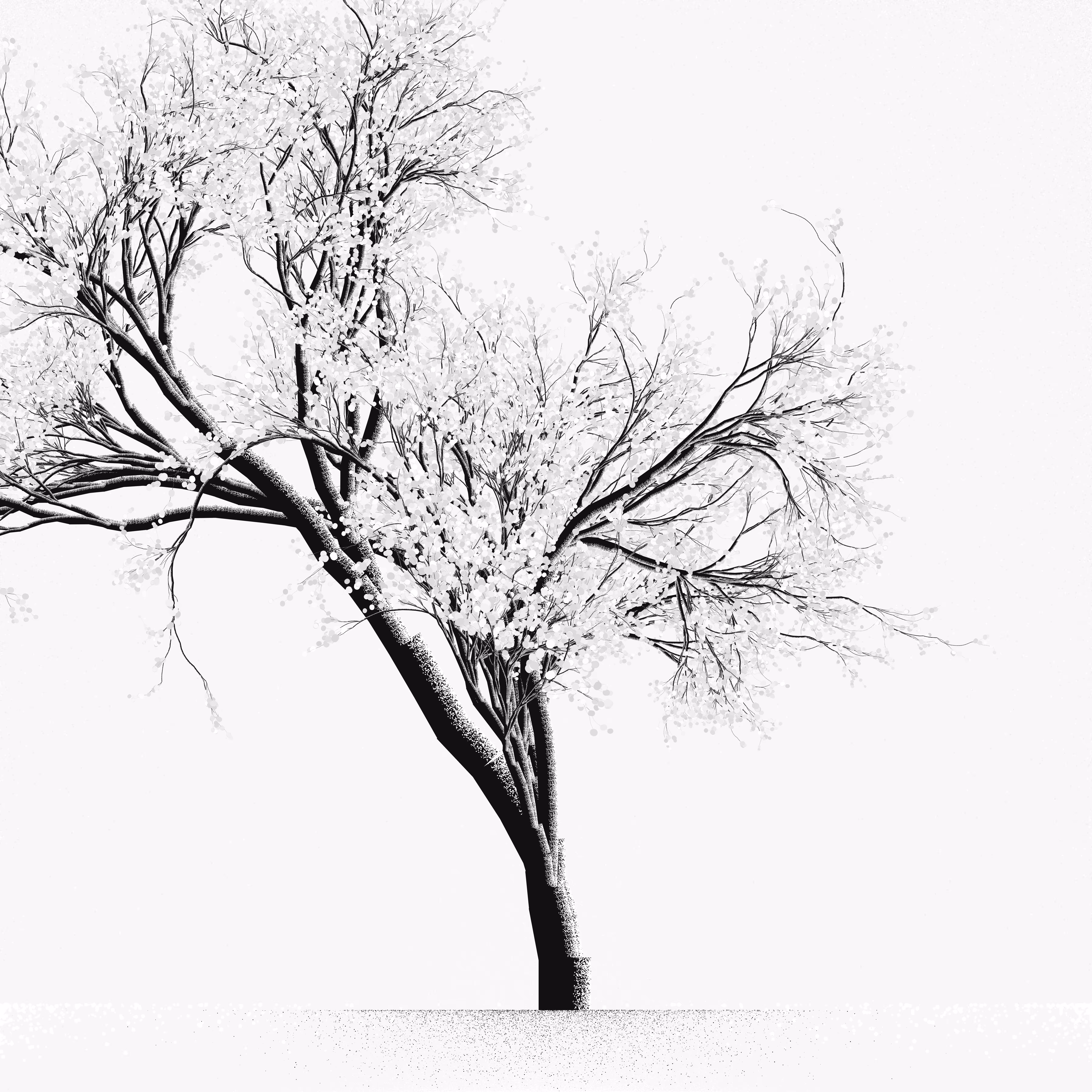 Snow Tree #9