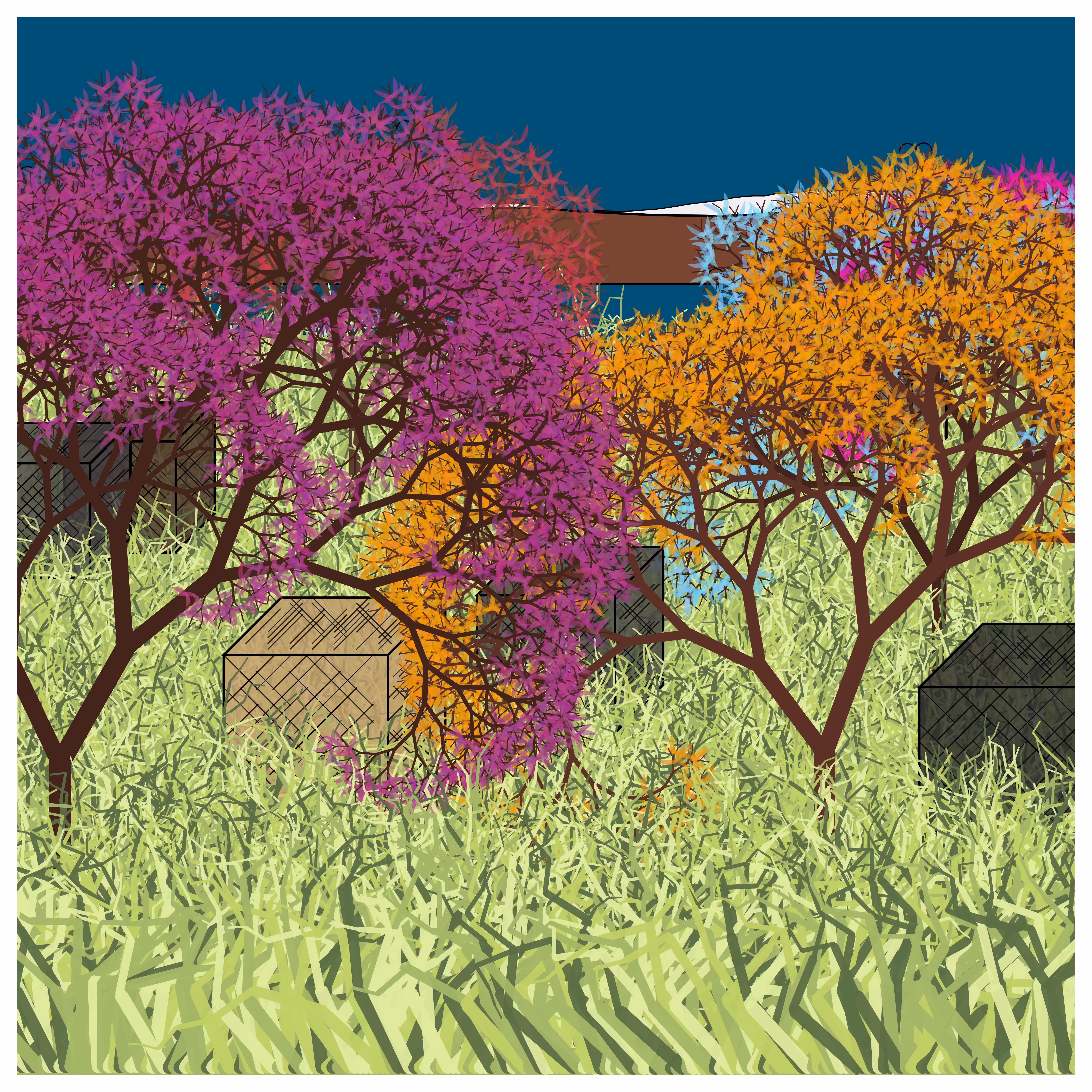 Cube Forest #41