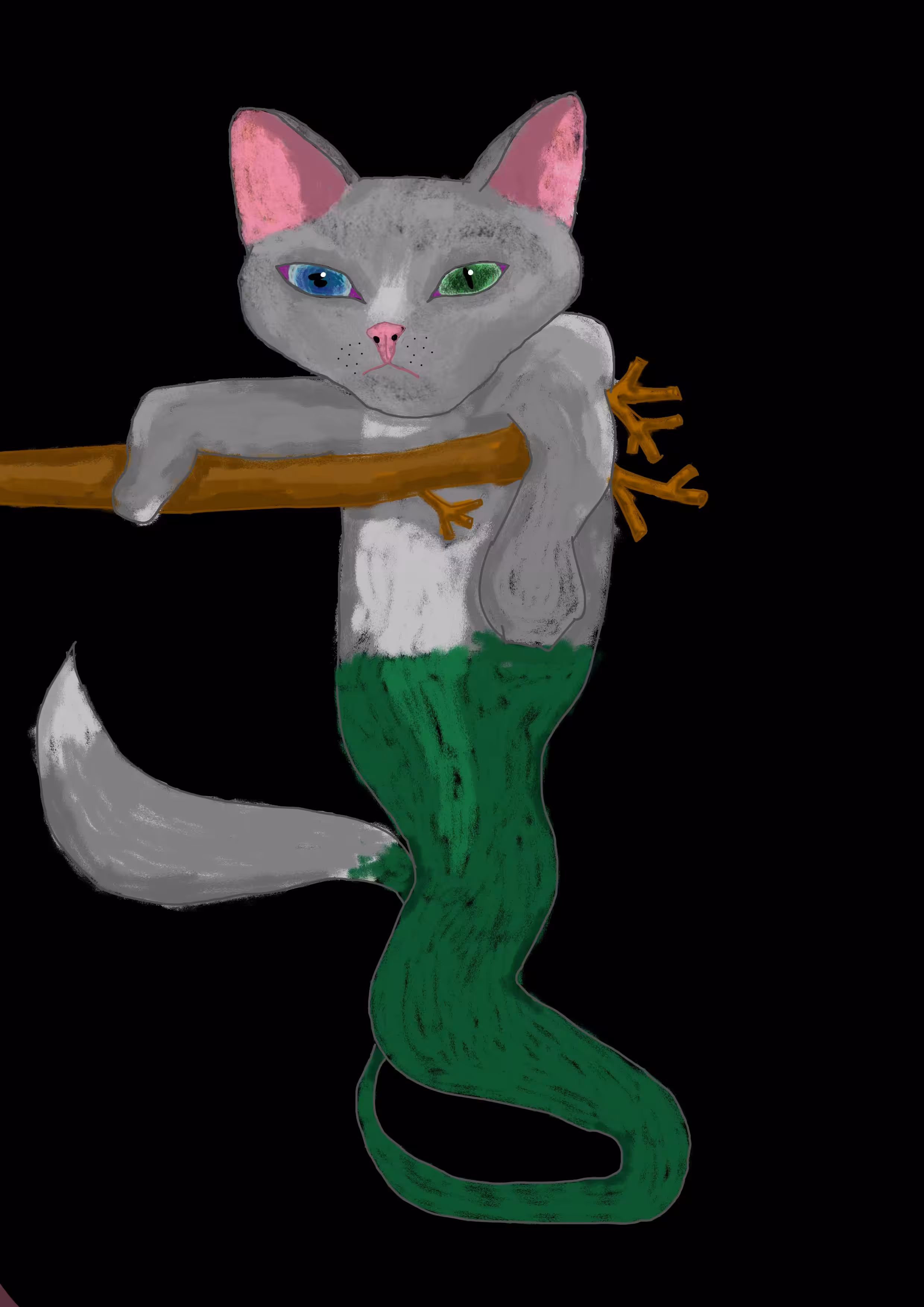 The hanging cat