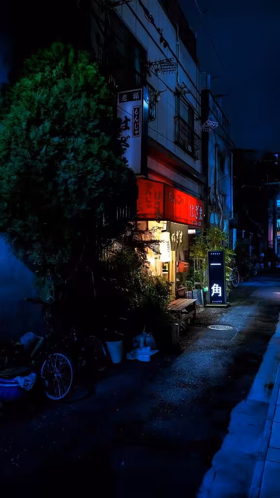 Backstreets of Tsukiji