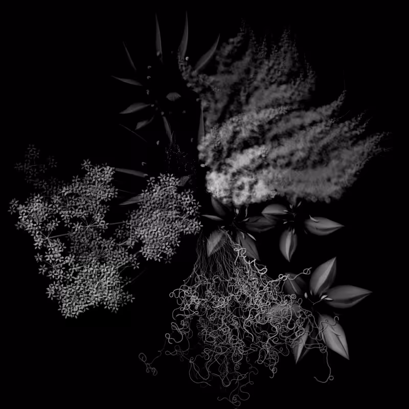 Botanical Ghosts #336