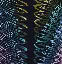 zipper