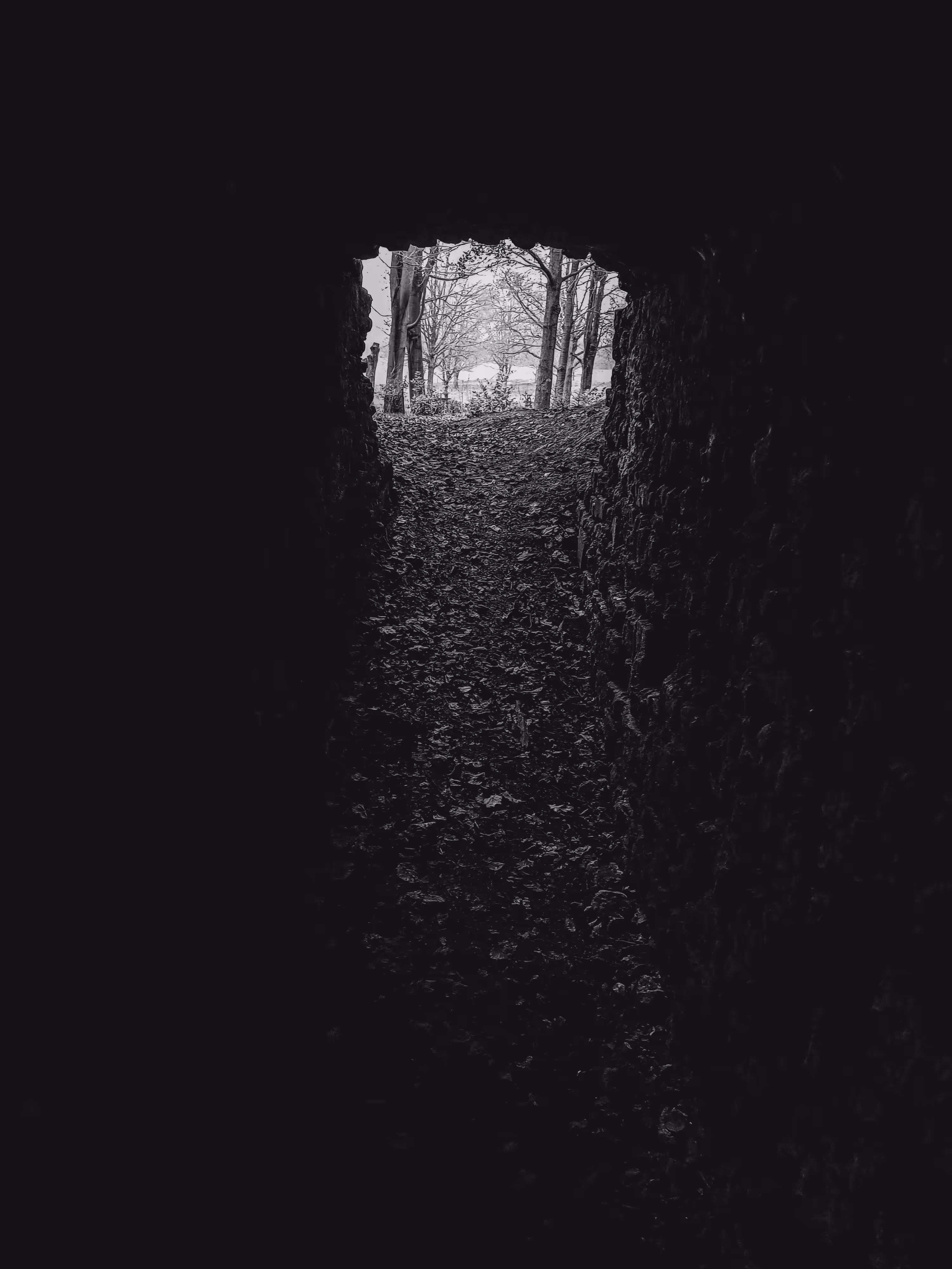 #2 The Doorways - Coming out