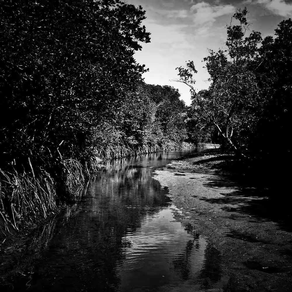 simplicity of nature