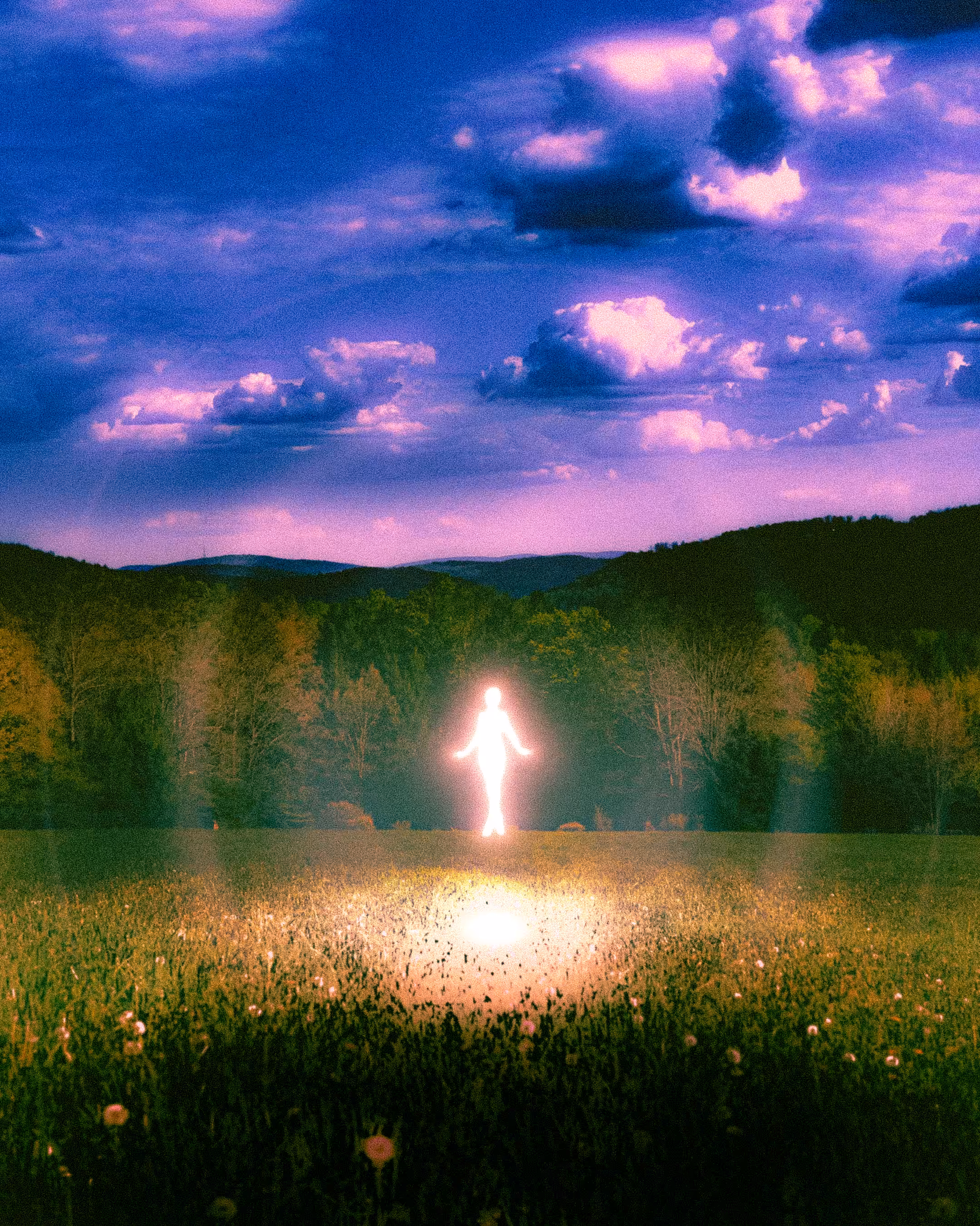 A Dream within a Dream