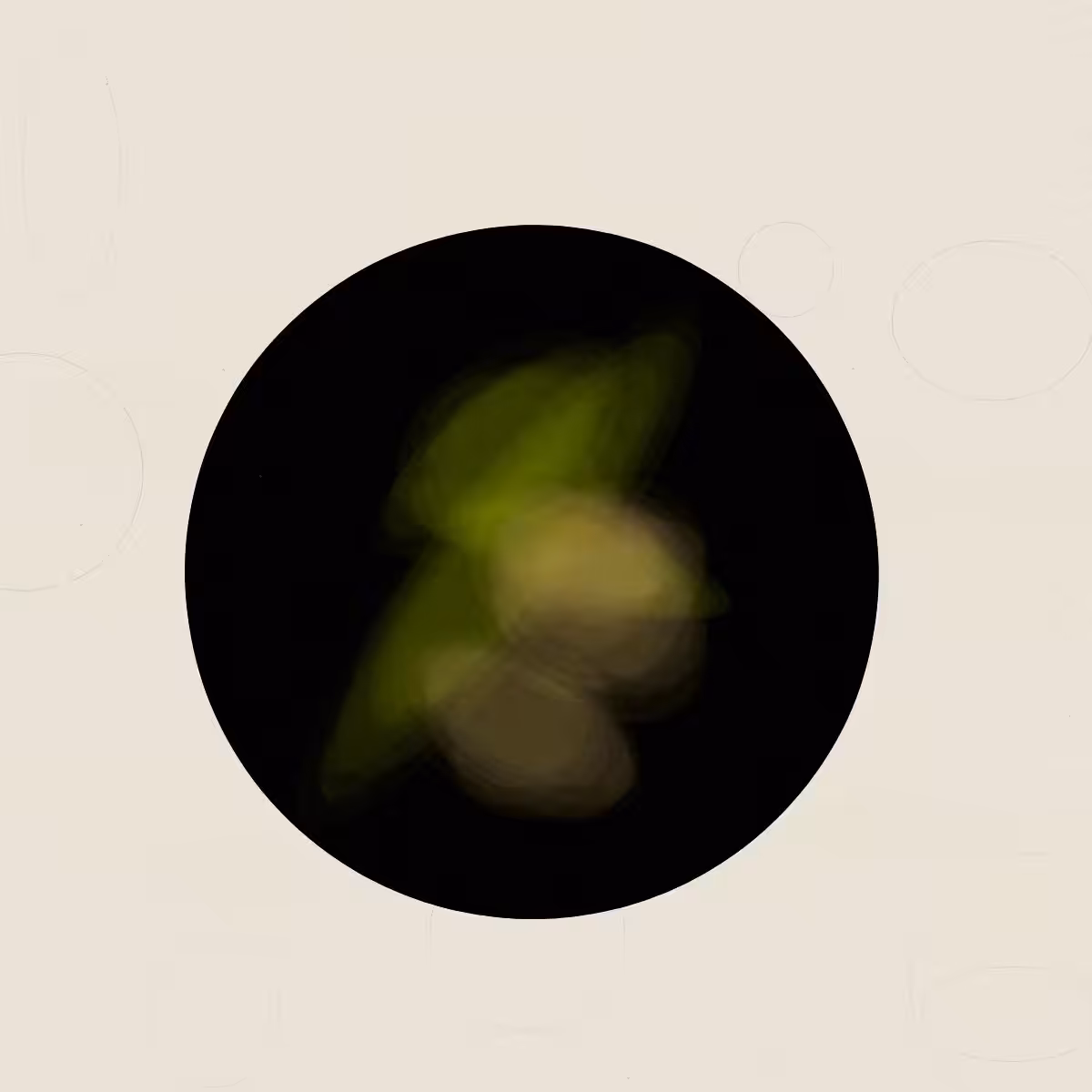 SYSTEMS #79
