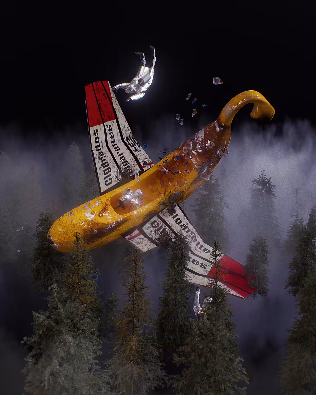 The Crashed Banana Plane