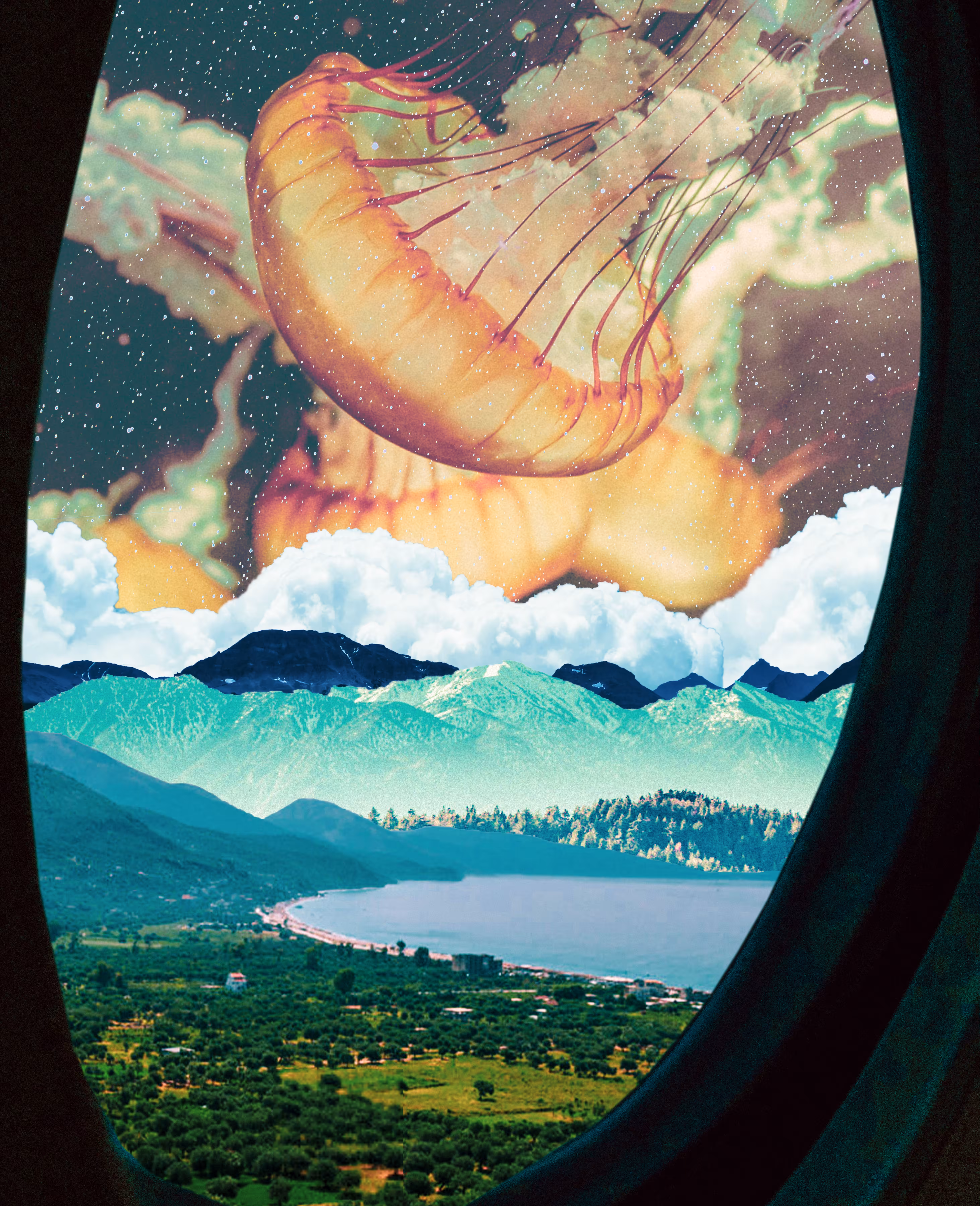 Full Flight From Reality, 2021