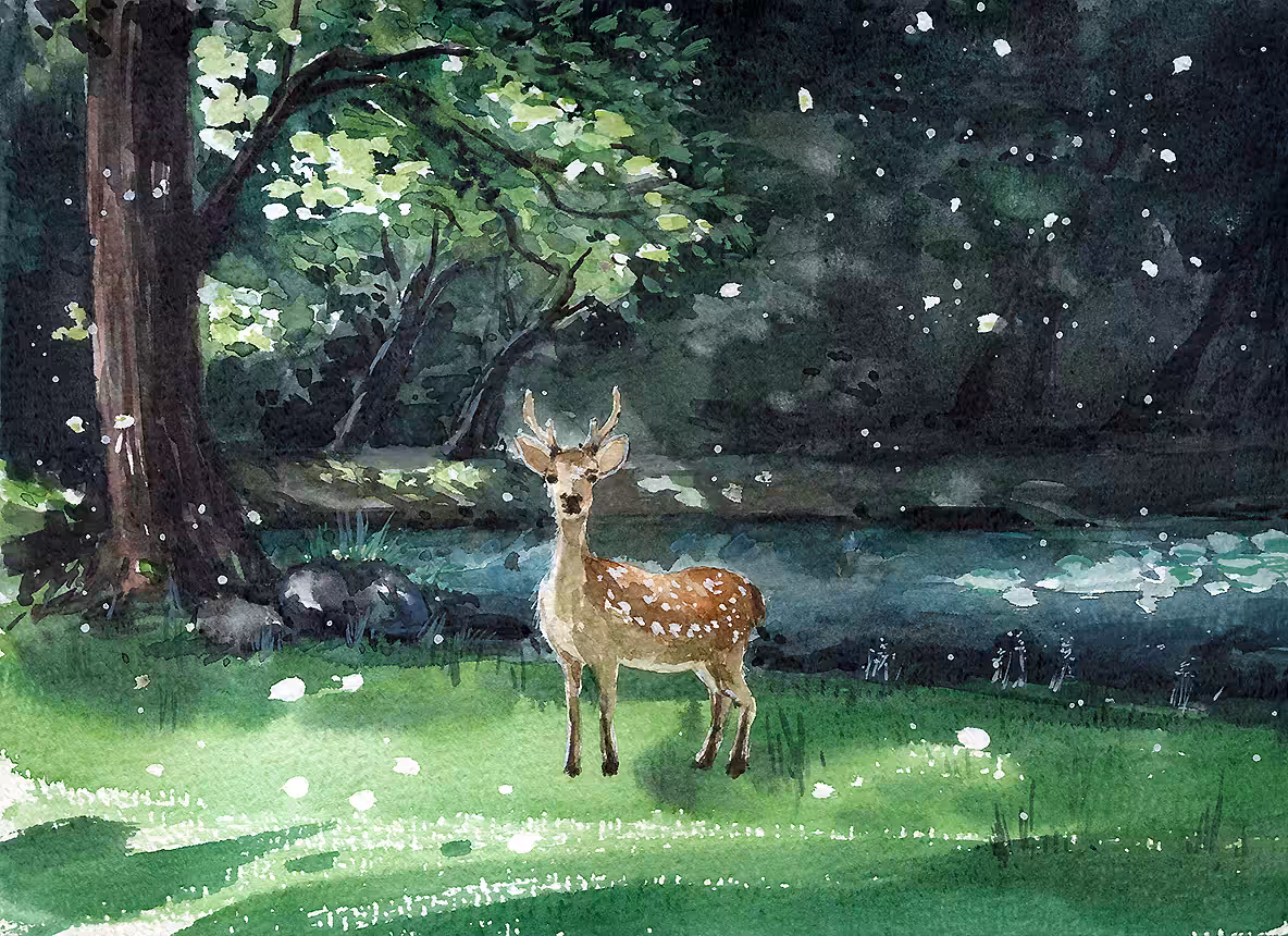 Fawn in the sunbeams