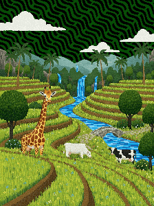 Harmony in the Rice Terraces